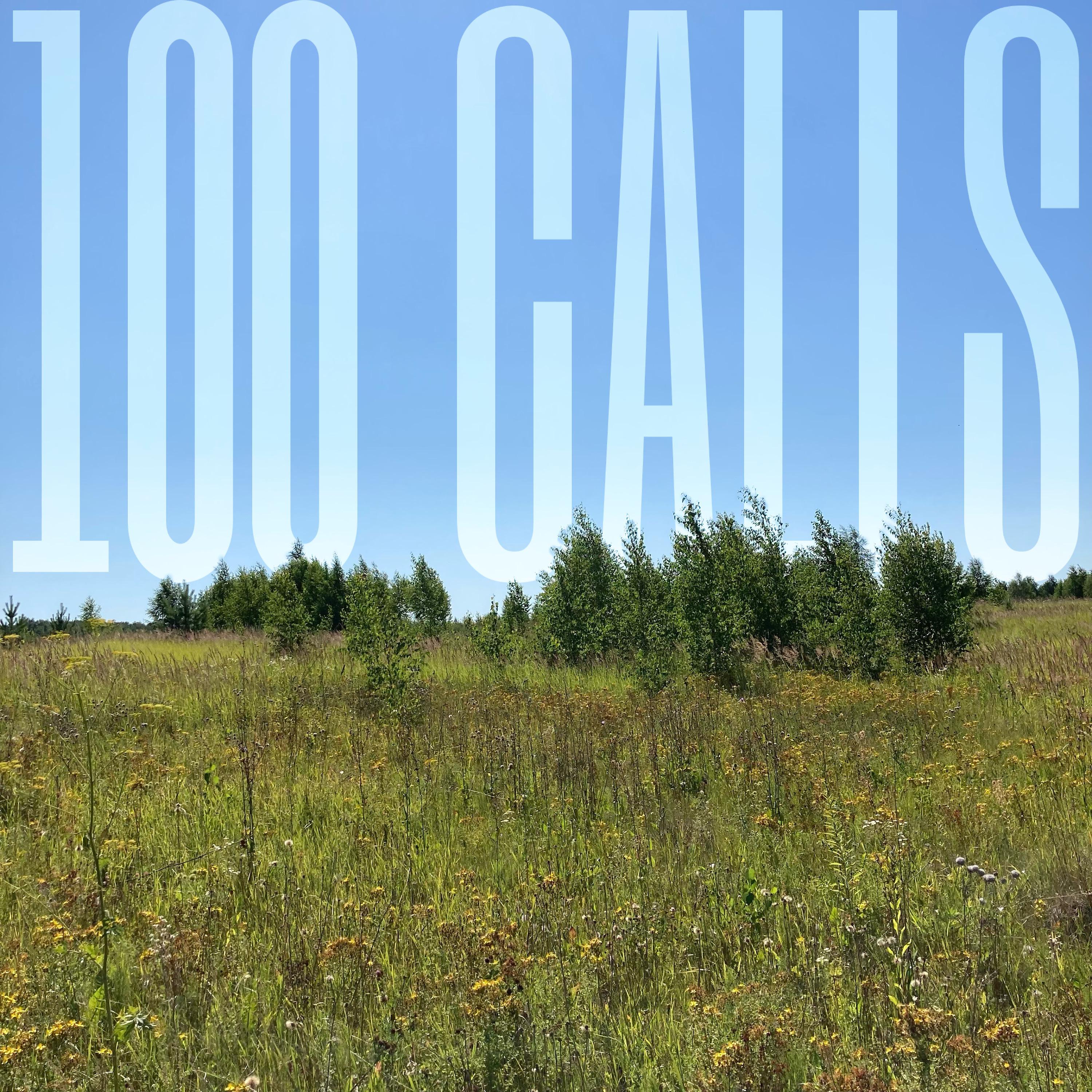 Постер альбома 100 Calls