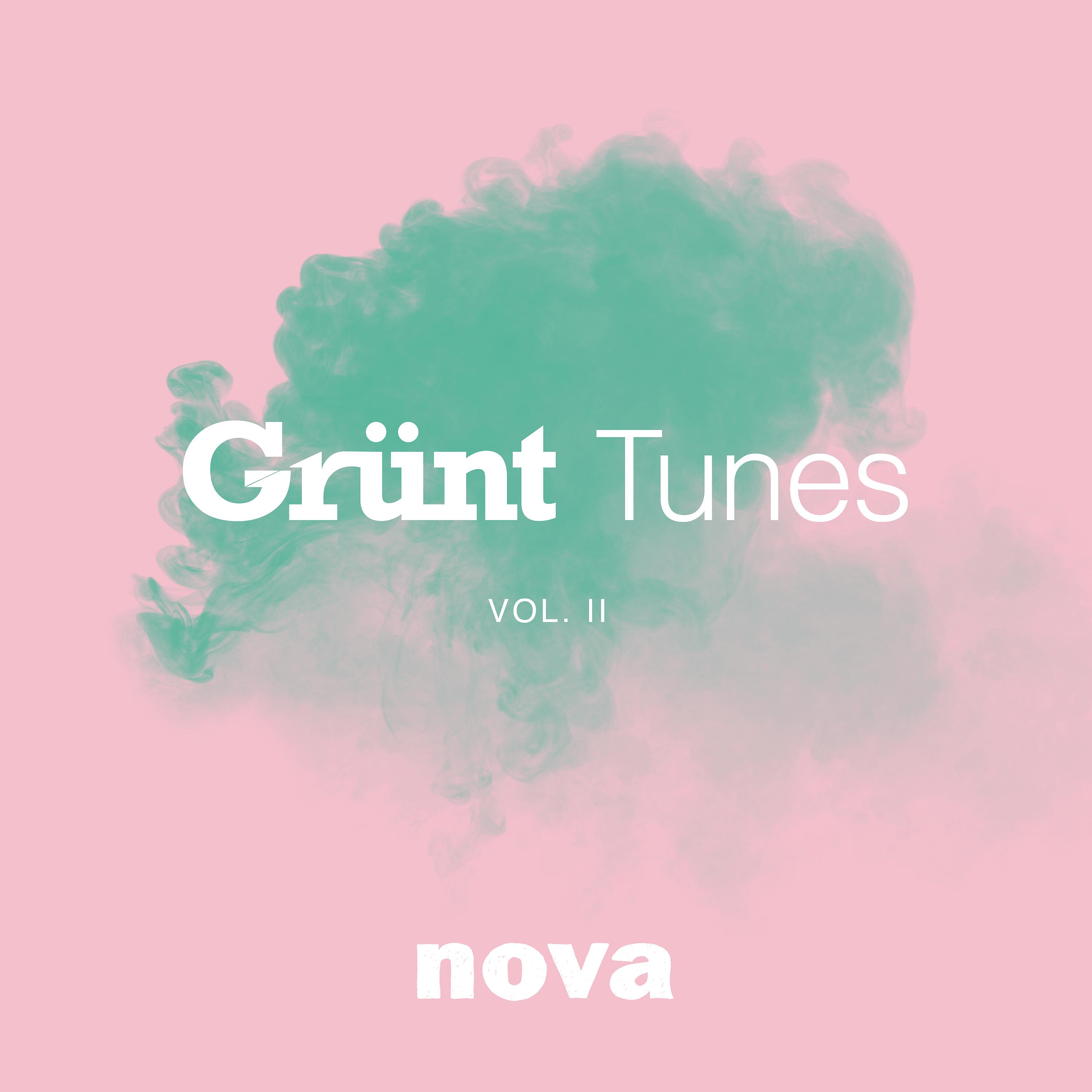 Постер альбома Grünt Tunes, Vol. II