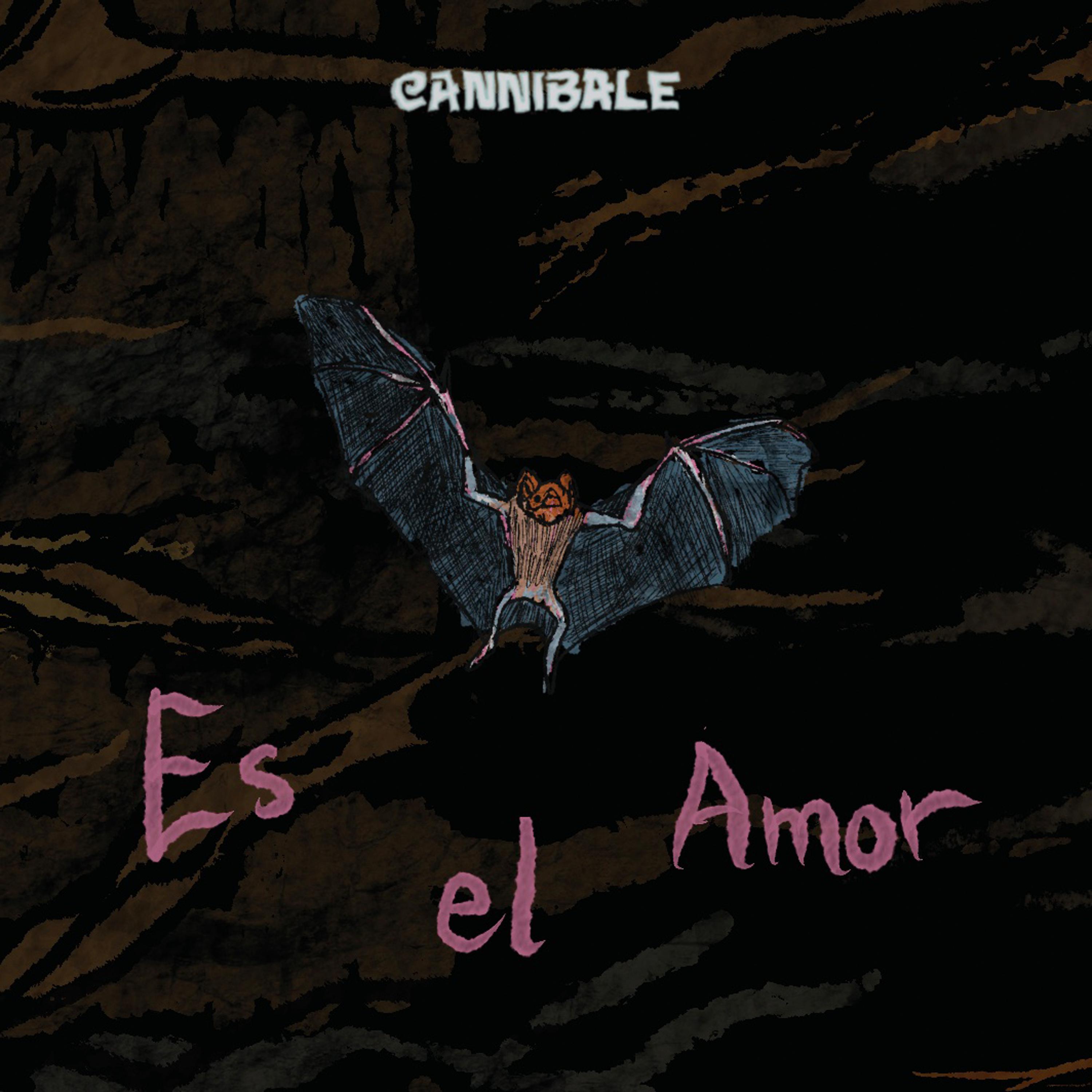 Постер альбома Es el Amor