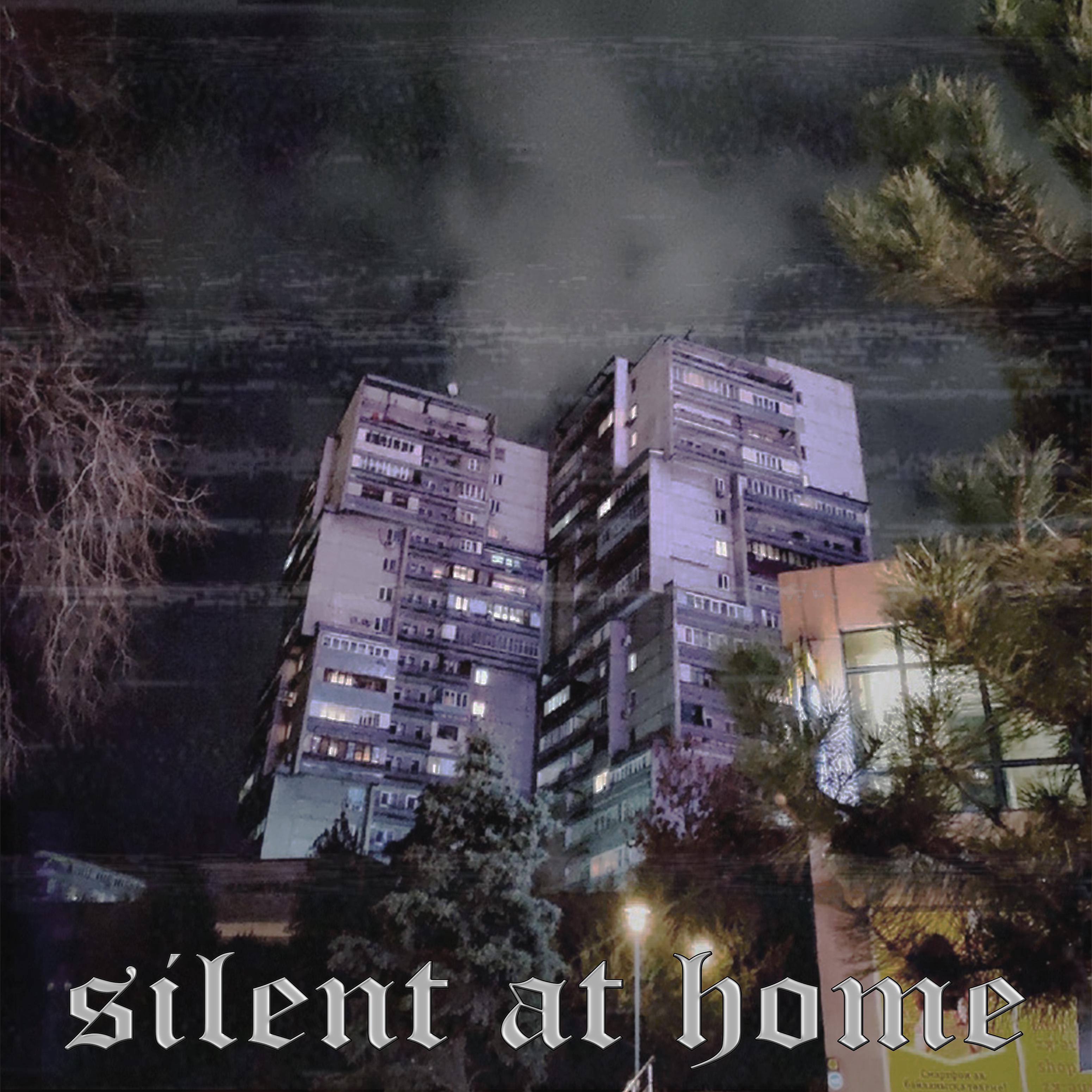 Постер альбома Silent at Home