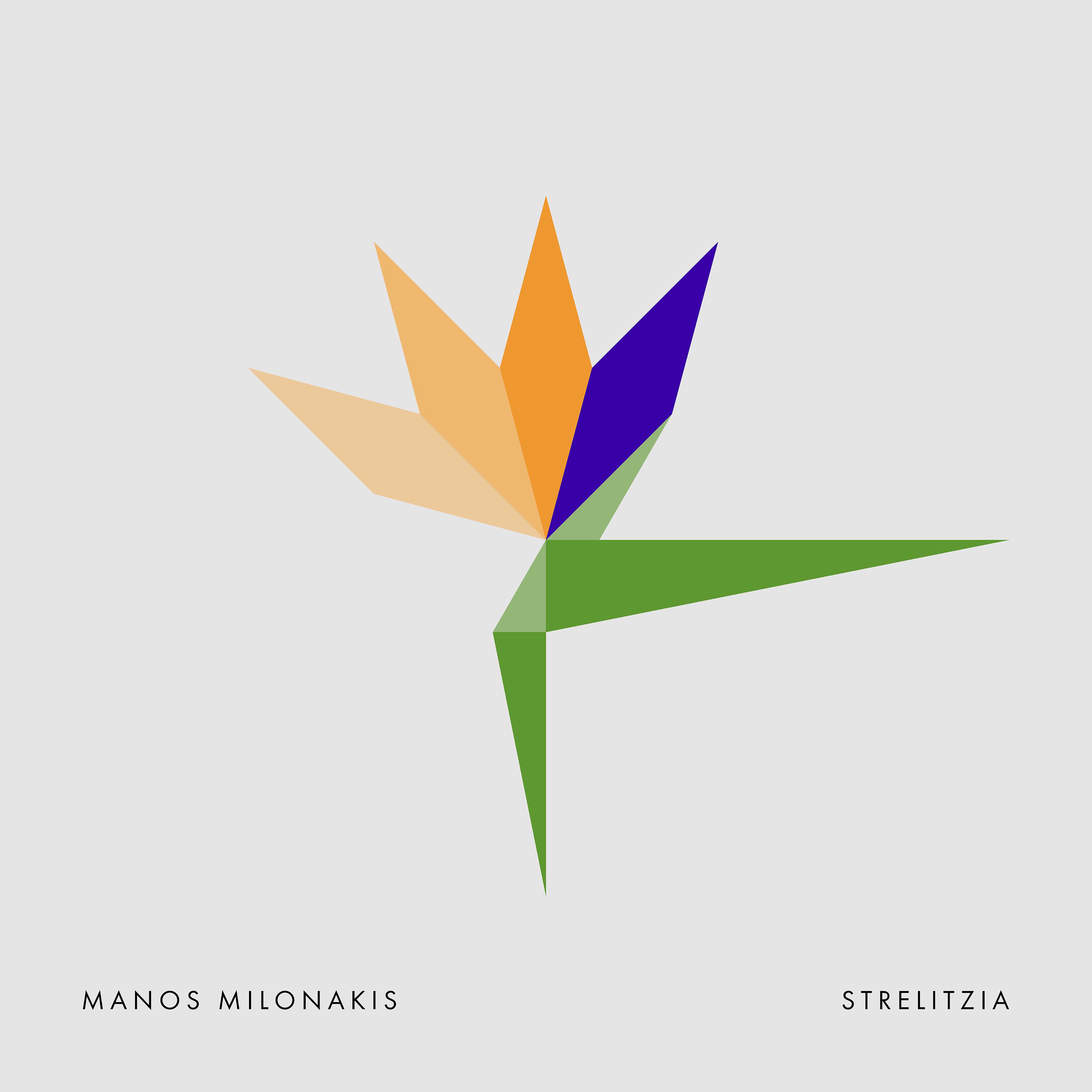 Постер альбома Strelitzia