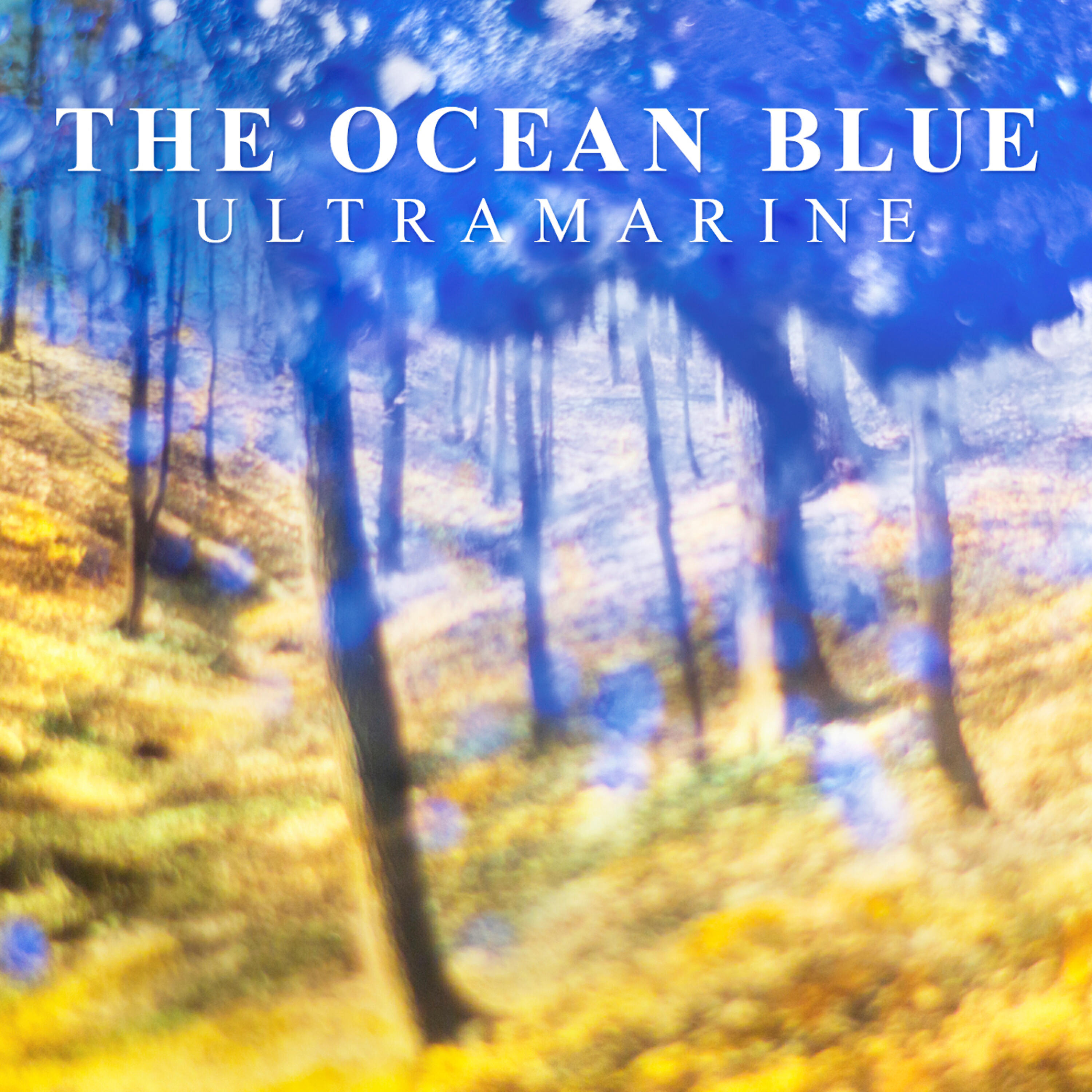 The Ocean Blue - A Rose is A Rose