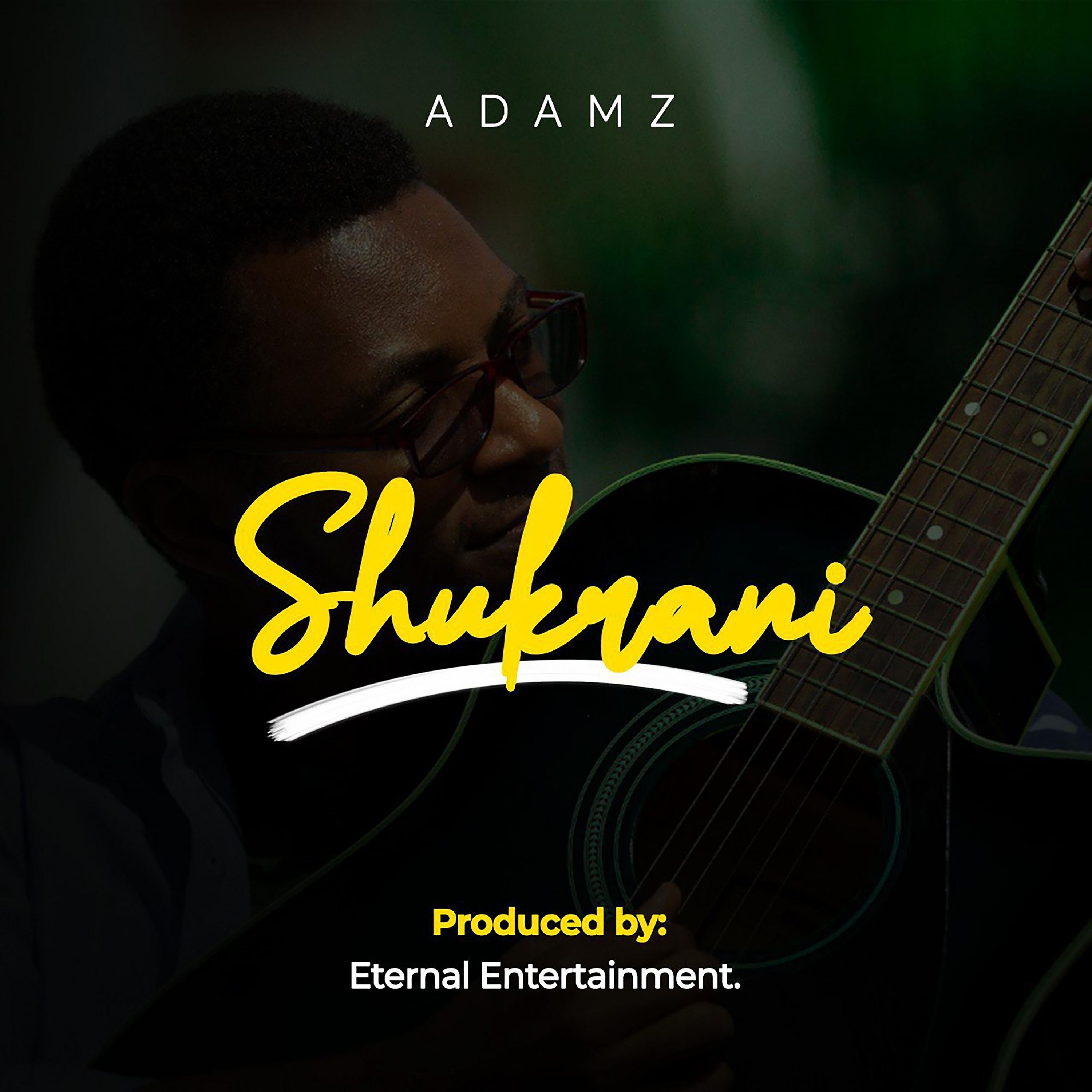 Постер альбома Shukrani