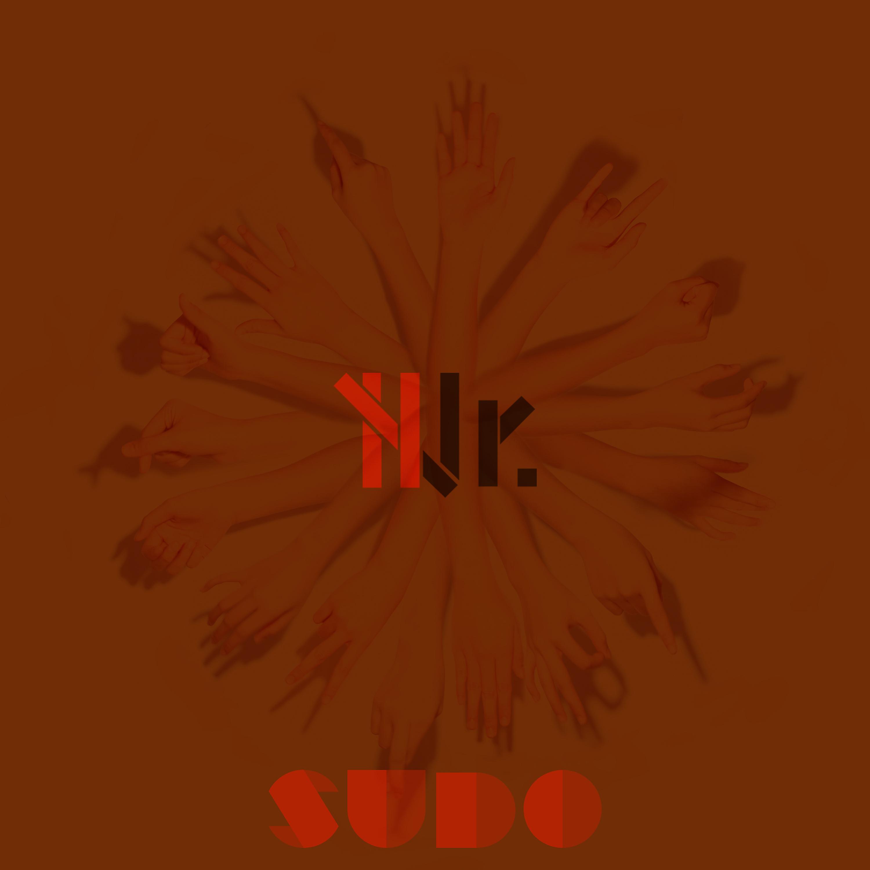 Постер альбома Sudo