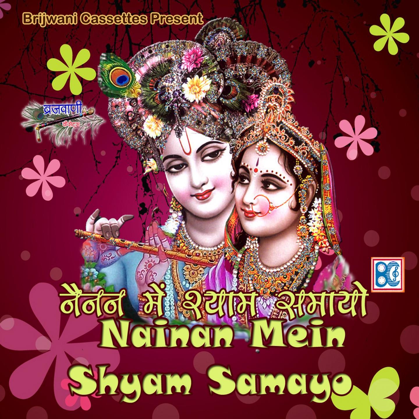 Постер альбома Nainan Mein Shyam Samayo