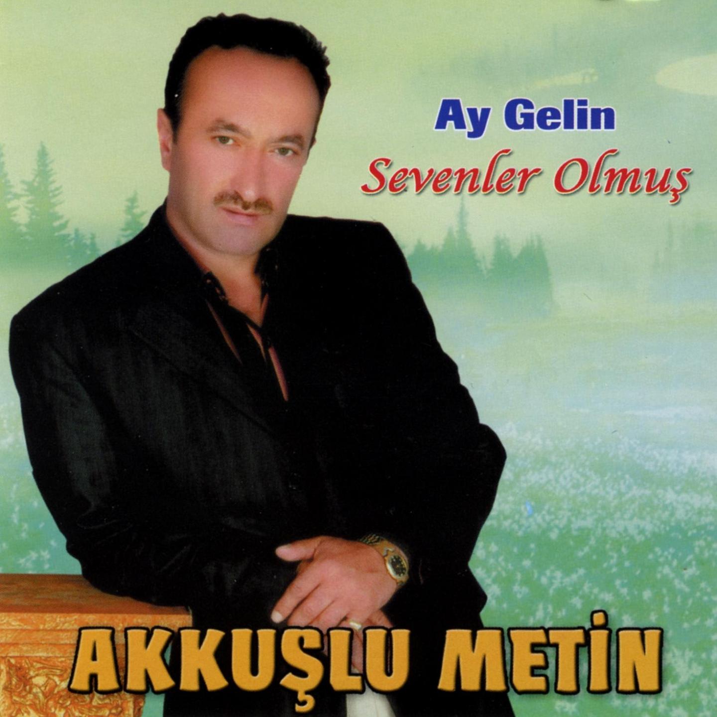 Постер альбома Ay Gelin / Sevenler Olmuş