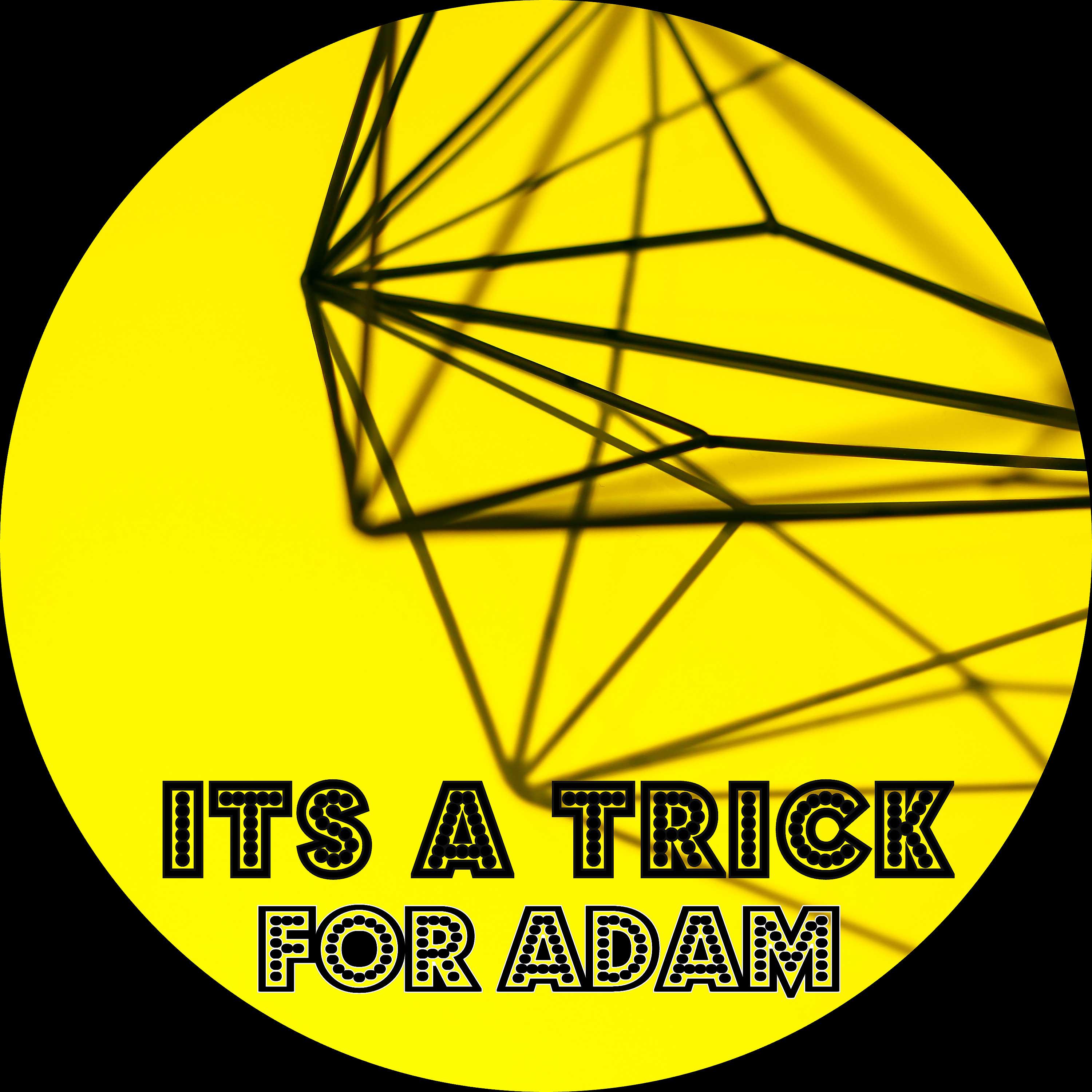 Постер альбома For Adam
