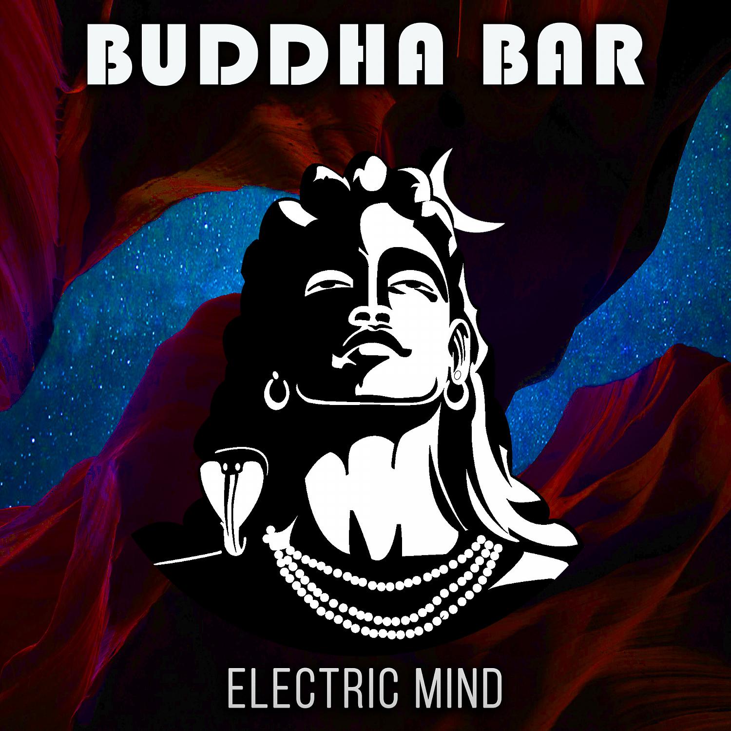 Постер альбома Electric Mind