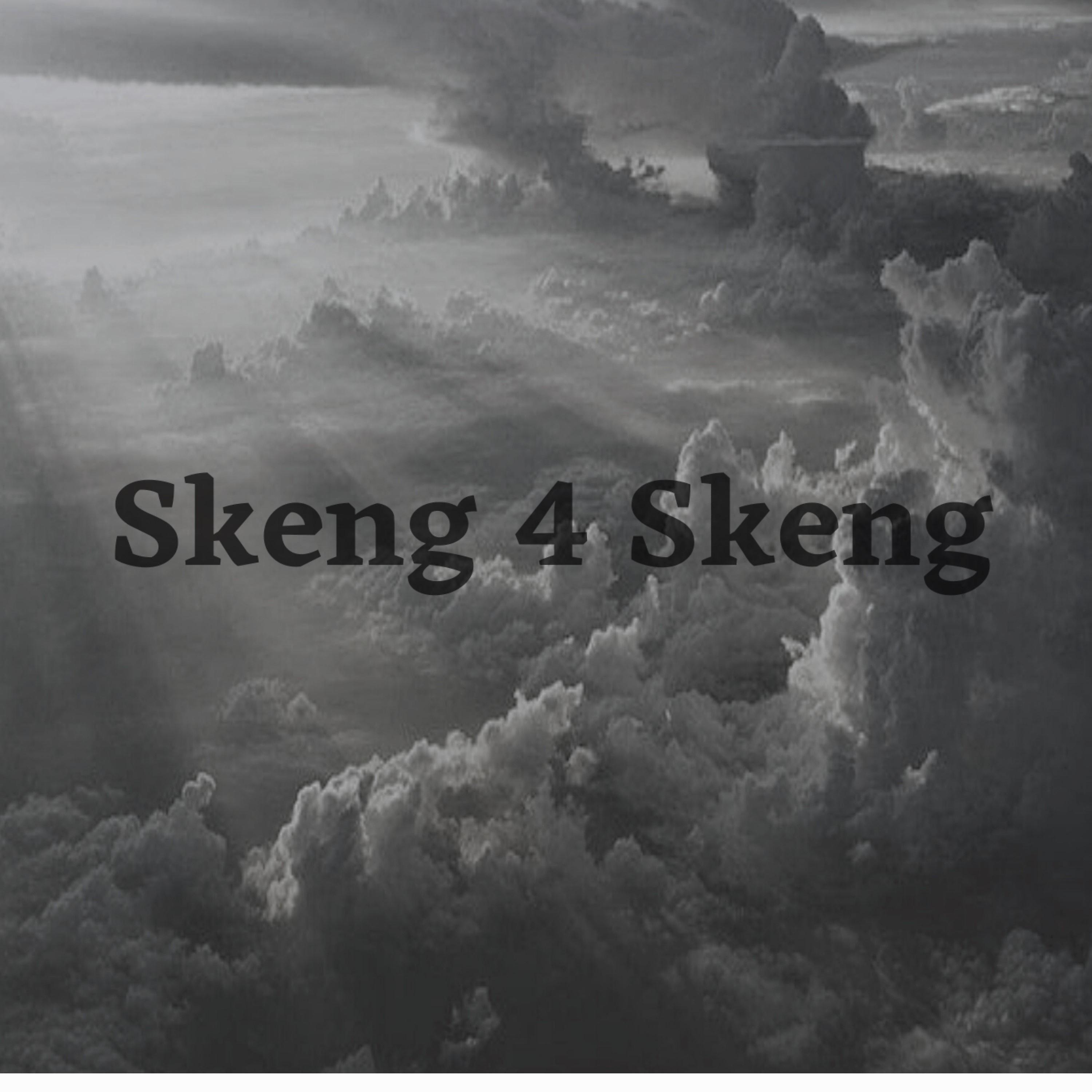Постер альбома Skeng 4 Skeng