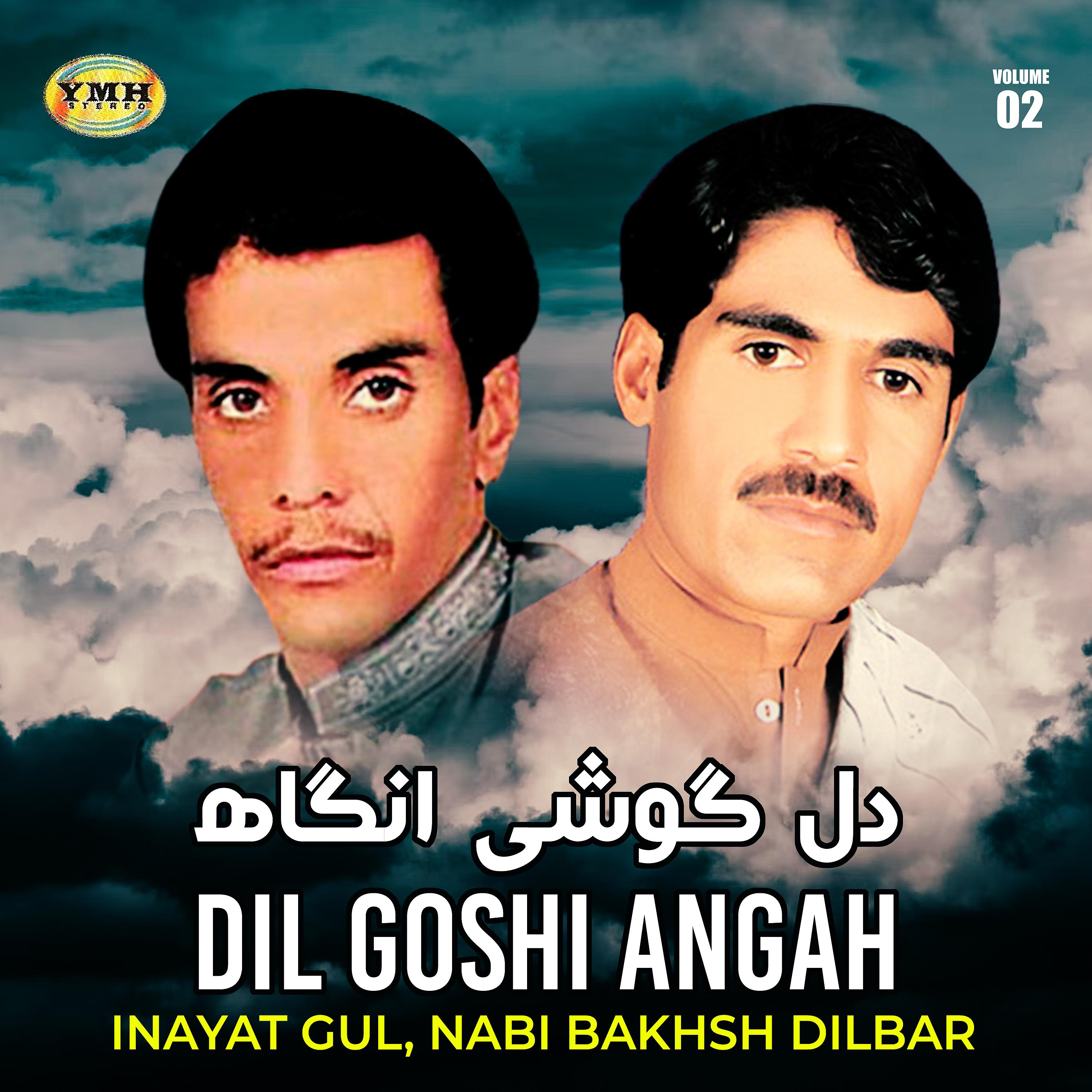Постер альбома Dil Goshi Angah, Vol. 2