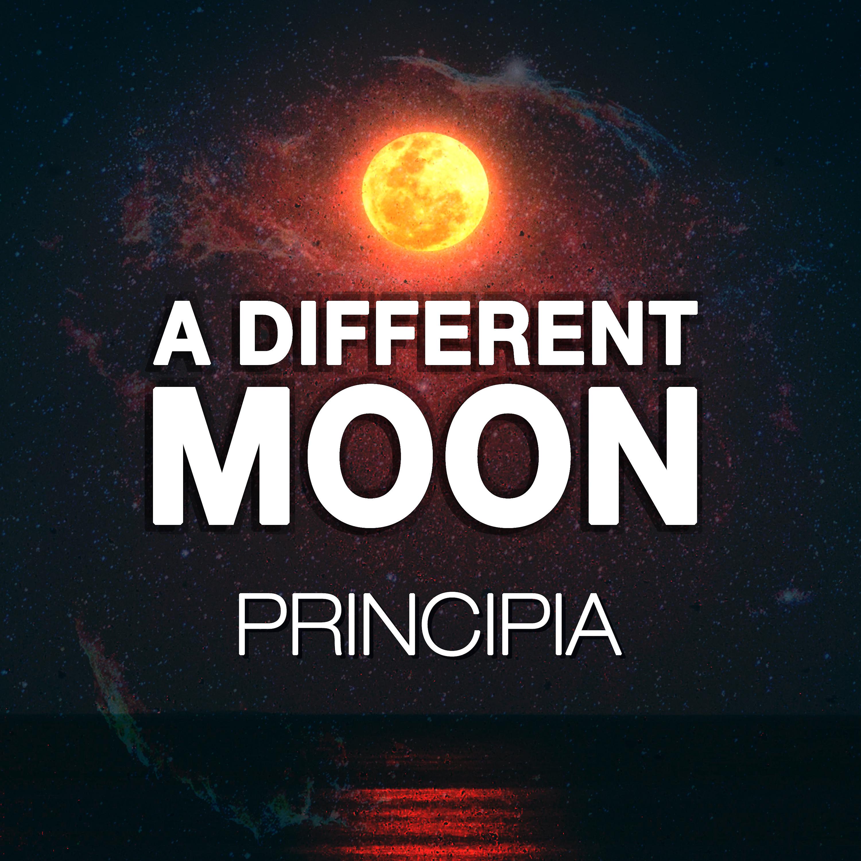 Постер альбома A Different Moon