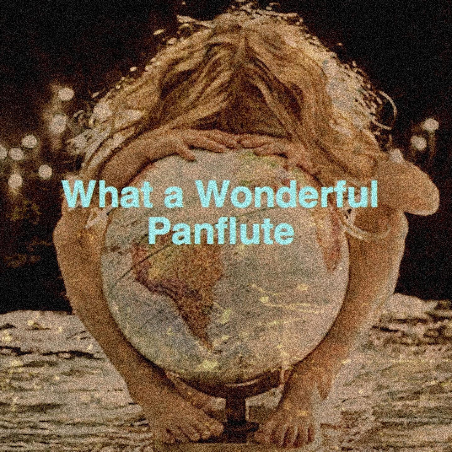 Постер альбома What a Wonderful Panflute