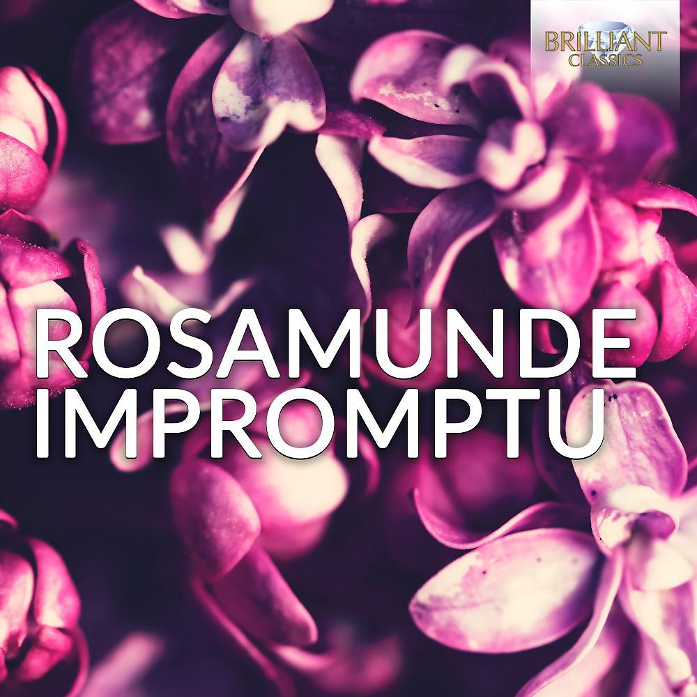 Постер альбома Rosamunde Impromptu