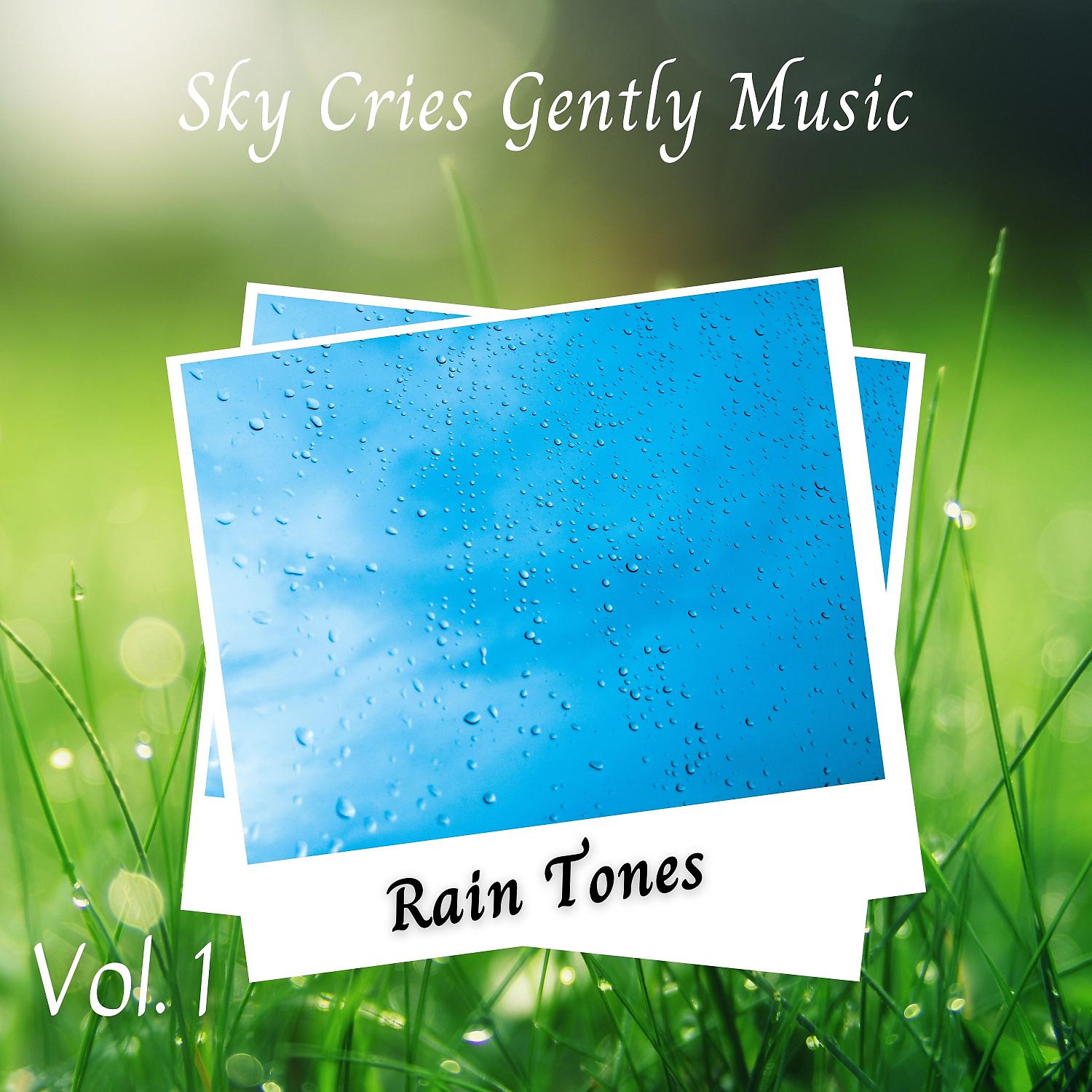 Постер альбома Rain Tones: Sky Cries Gently Music Vol. 1