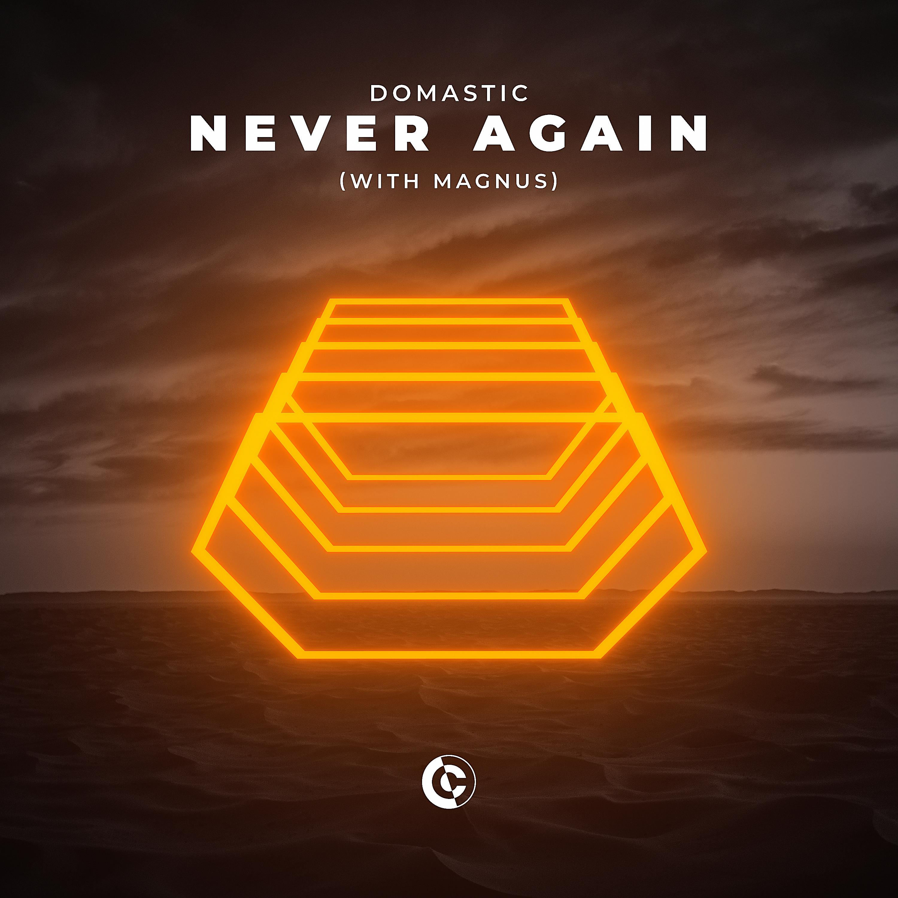 Постер альбома Never Again (with MAGNUS)