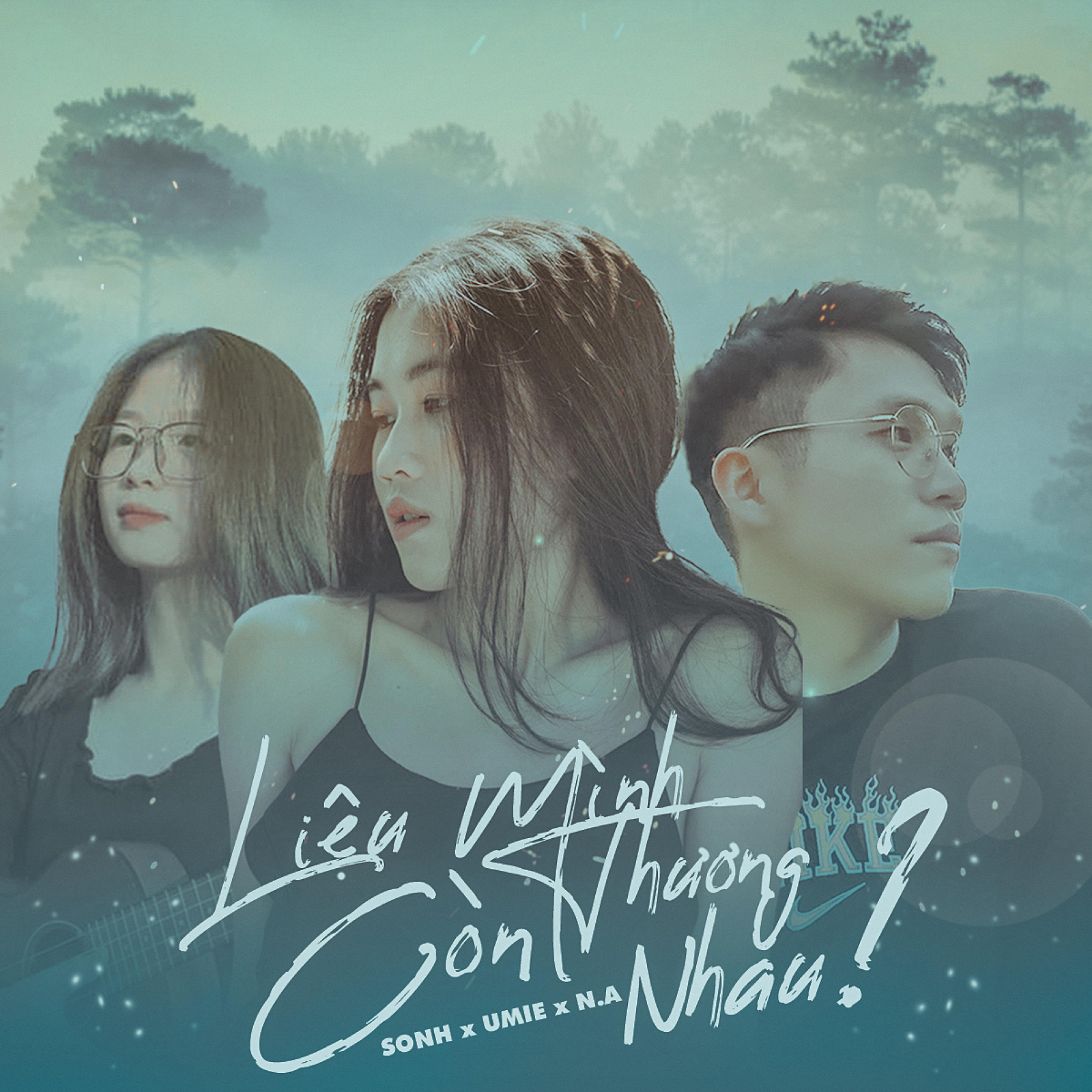 Постер альбома Liệu Mình Còn Thương Nhau ?