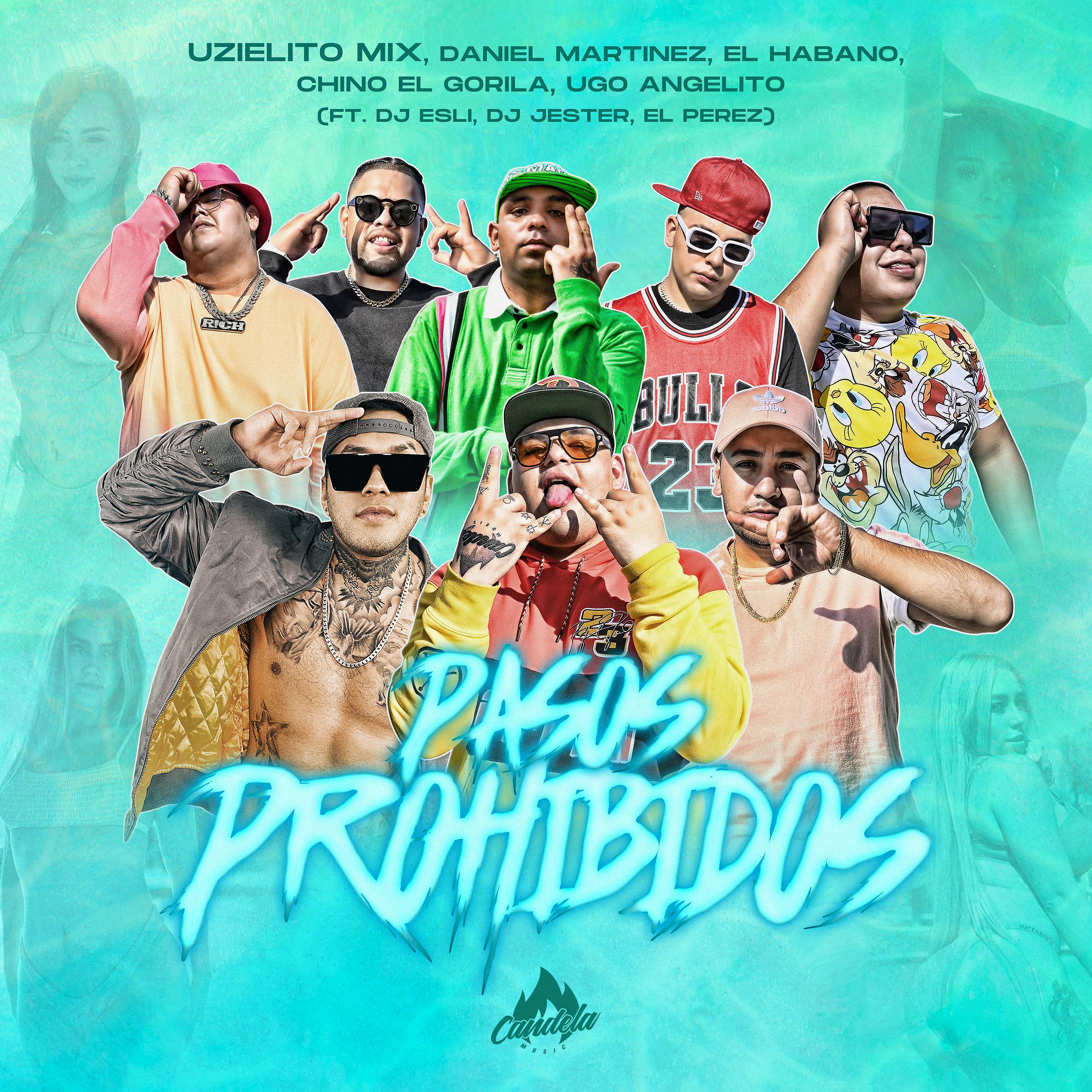 Постер альбома Pasos Prohibidos (feat. DJ Esli, DJ Jester & El Perez)