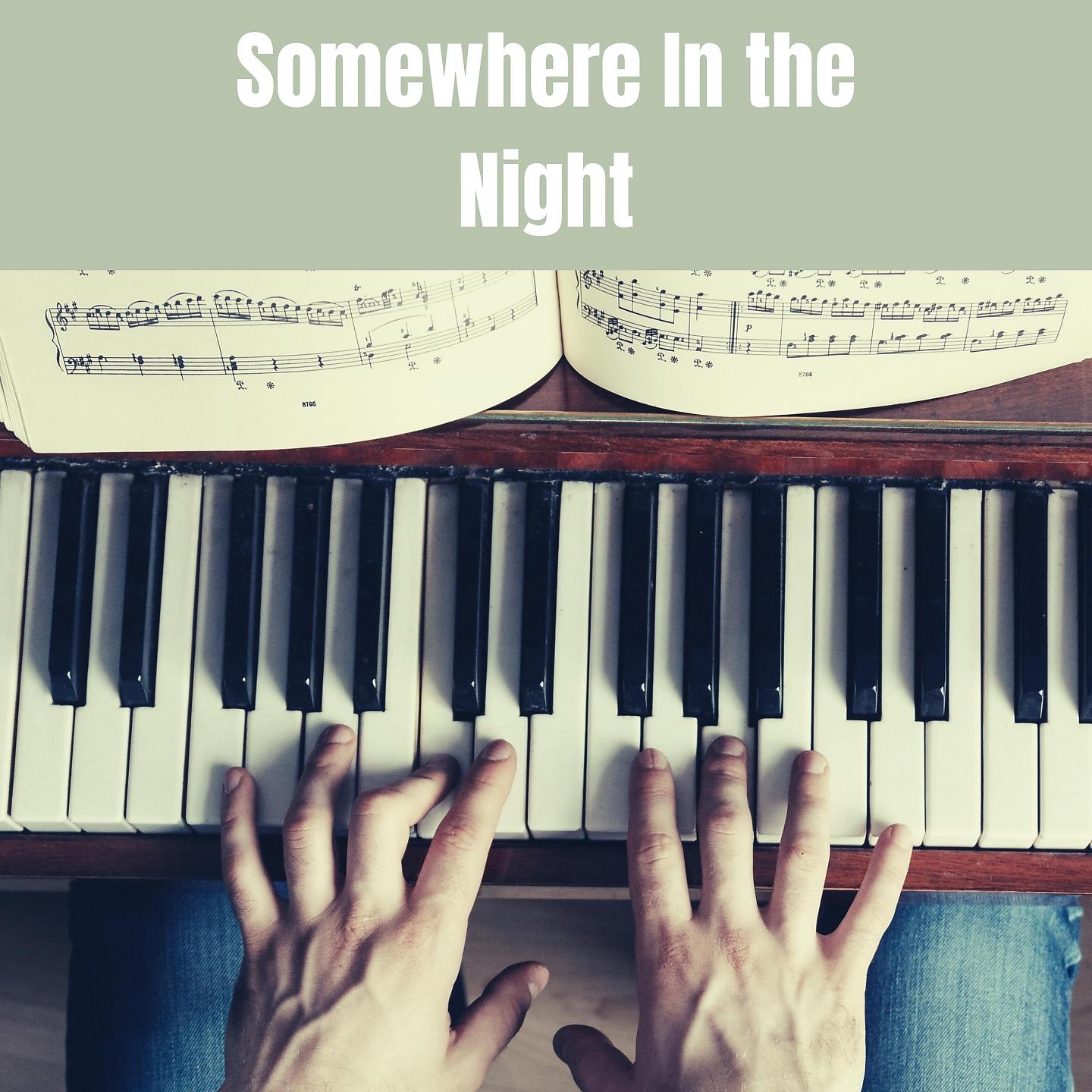 Постер альбома Somewhere In the Night