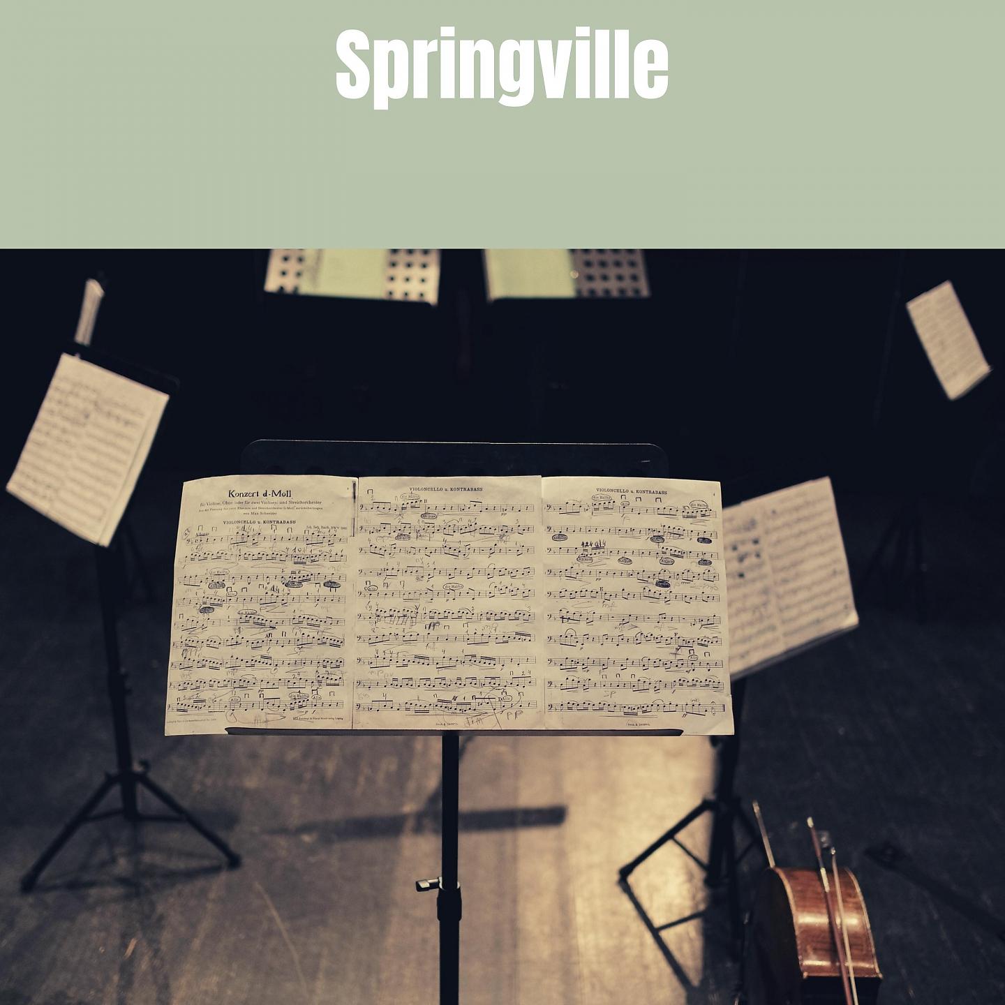 Постер альбома Springville
