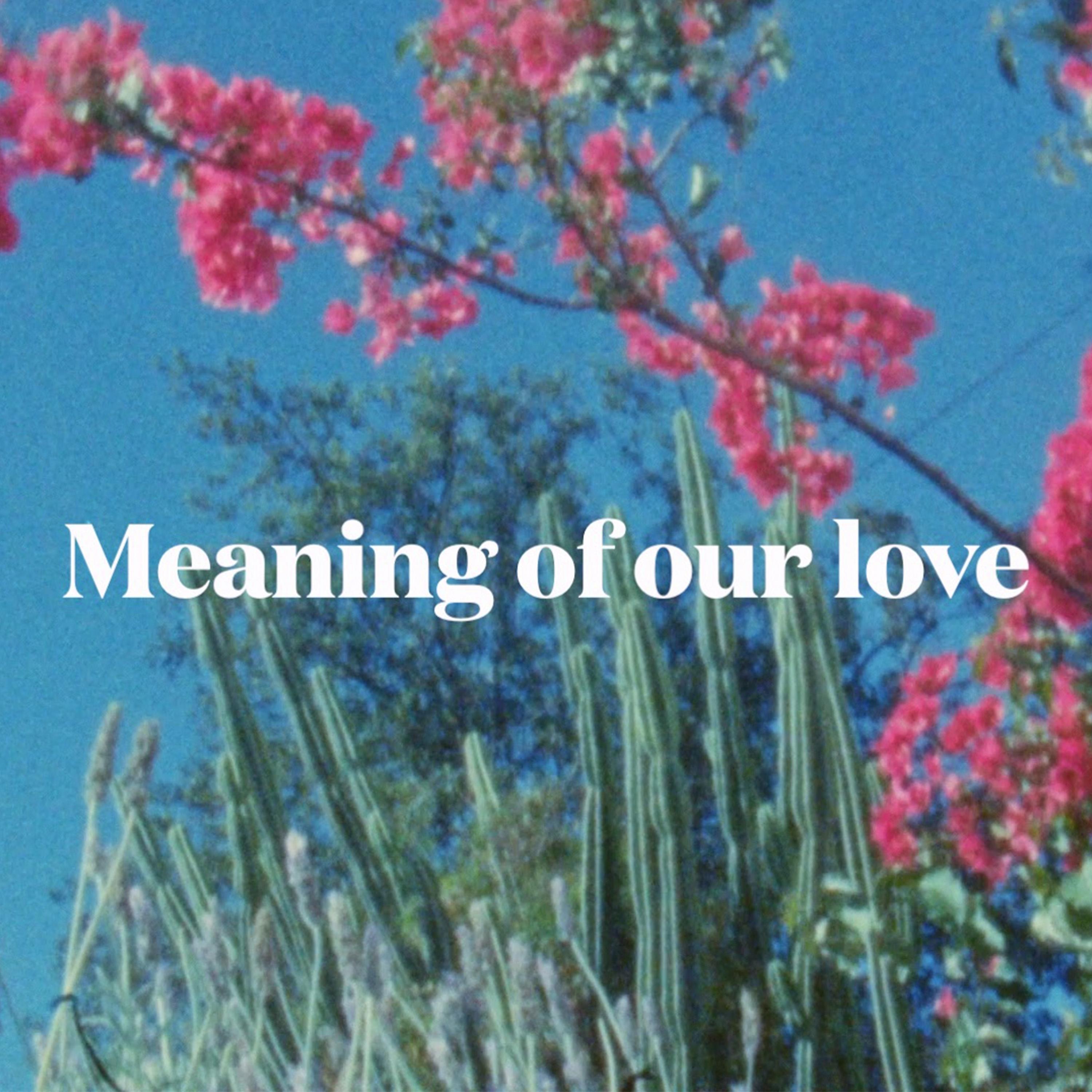 Постер альбома Meaning Of Our Love