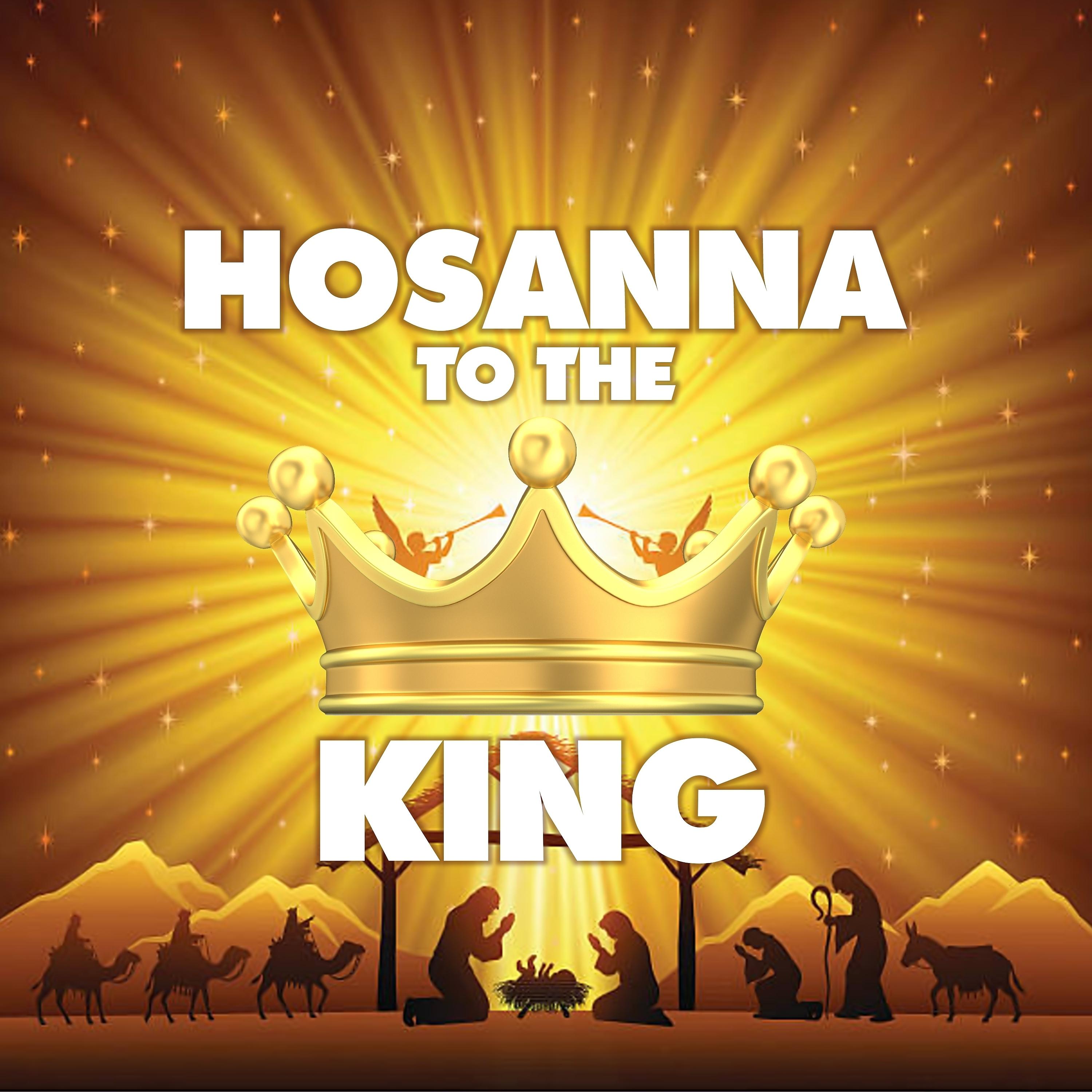 Постер альбома Hosanna to the King