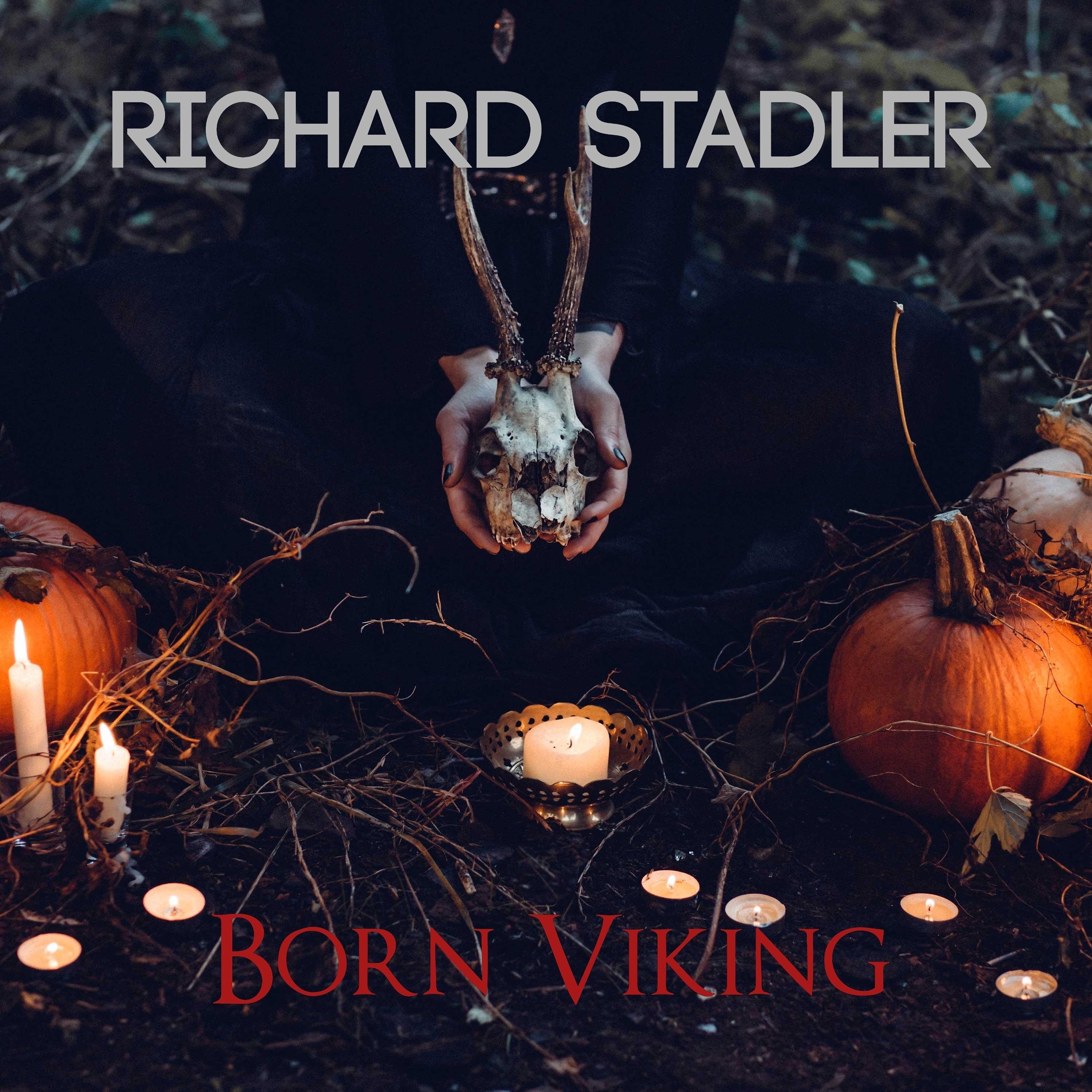 Постер альбома Born Viking