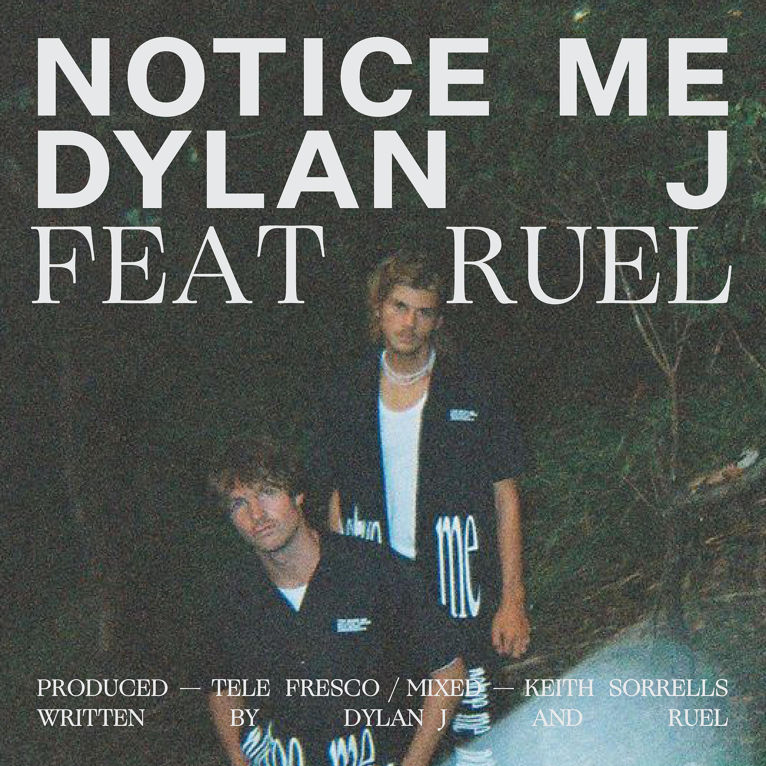 Постер альбома Notice Me (feat. Ruel)