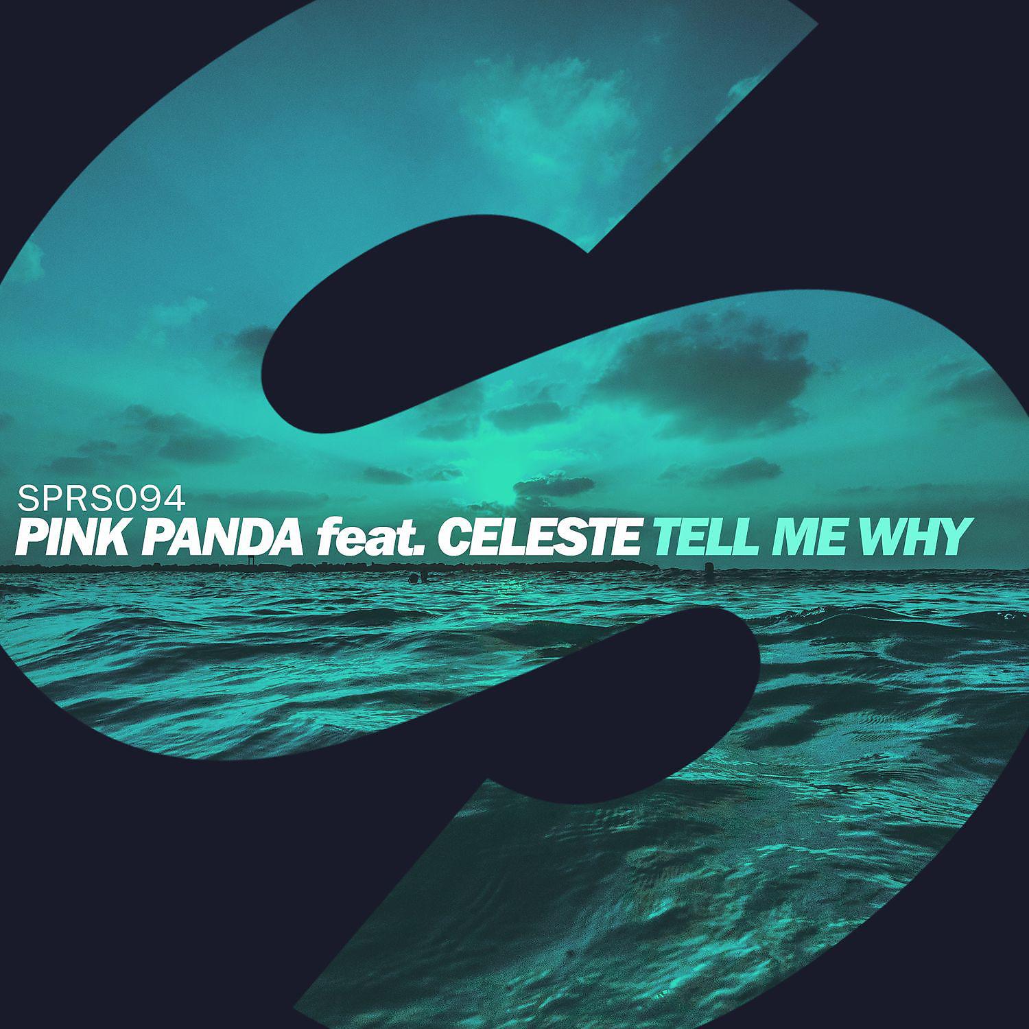 Постер альбома Tell Me Why (feat. Celeste)