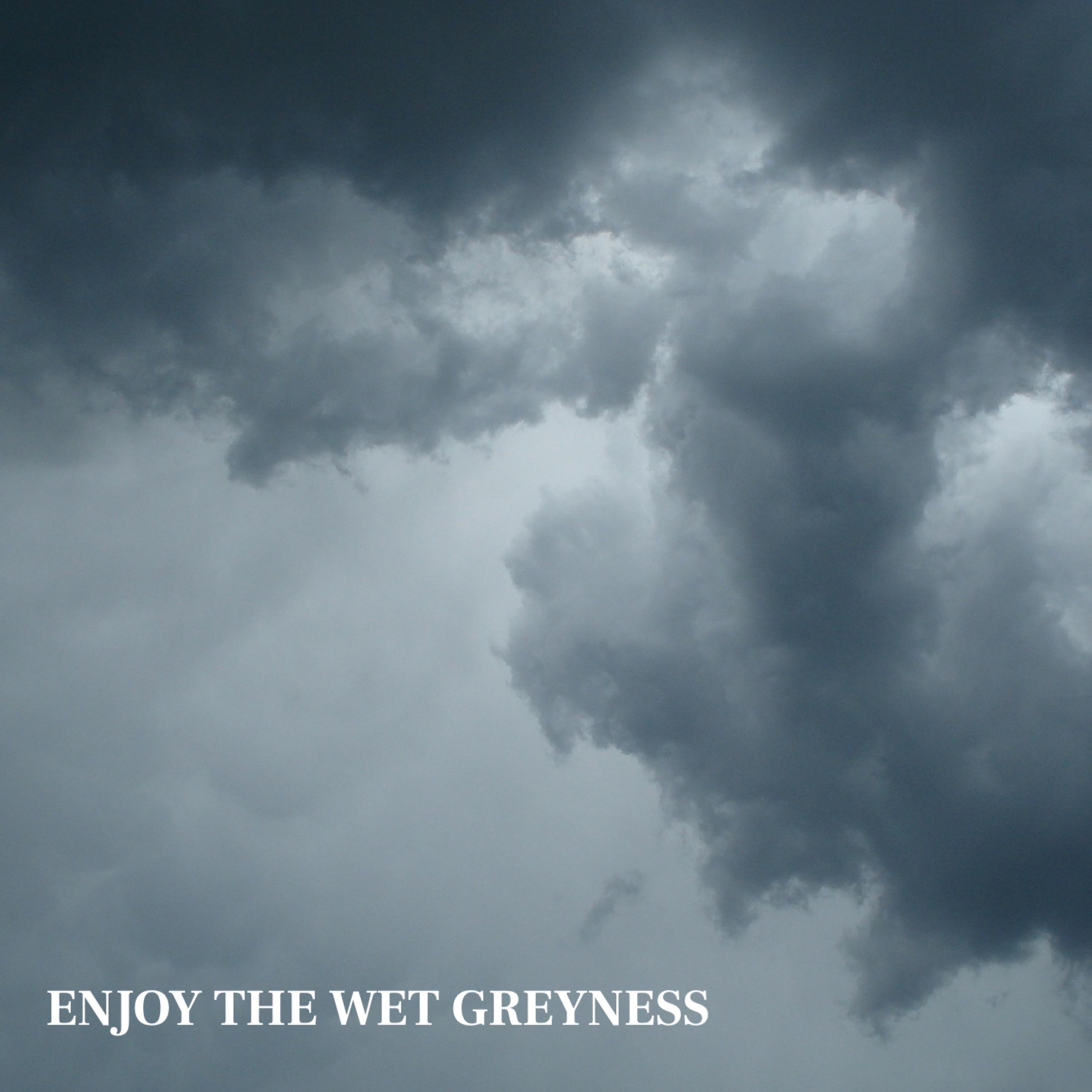 Постер альбома Enjoy the Wet Greyness