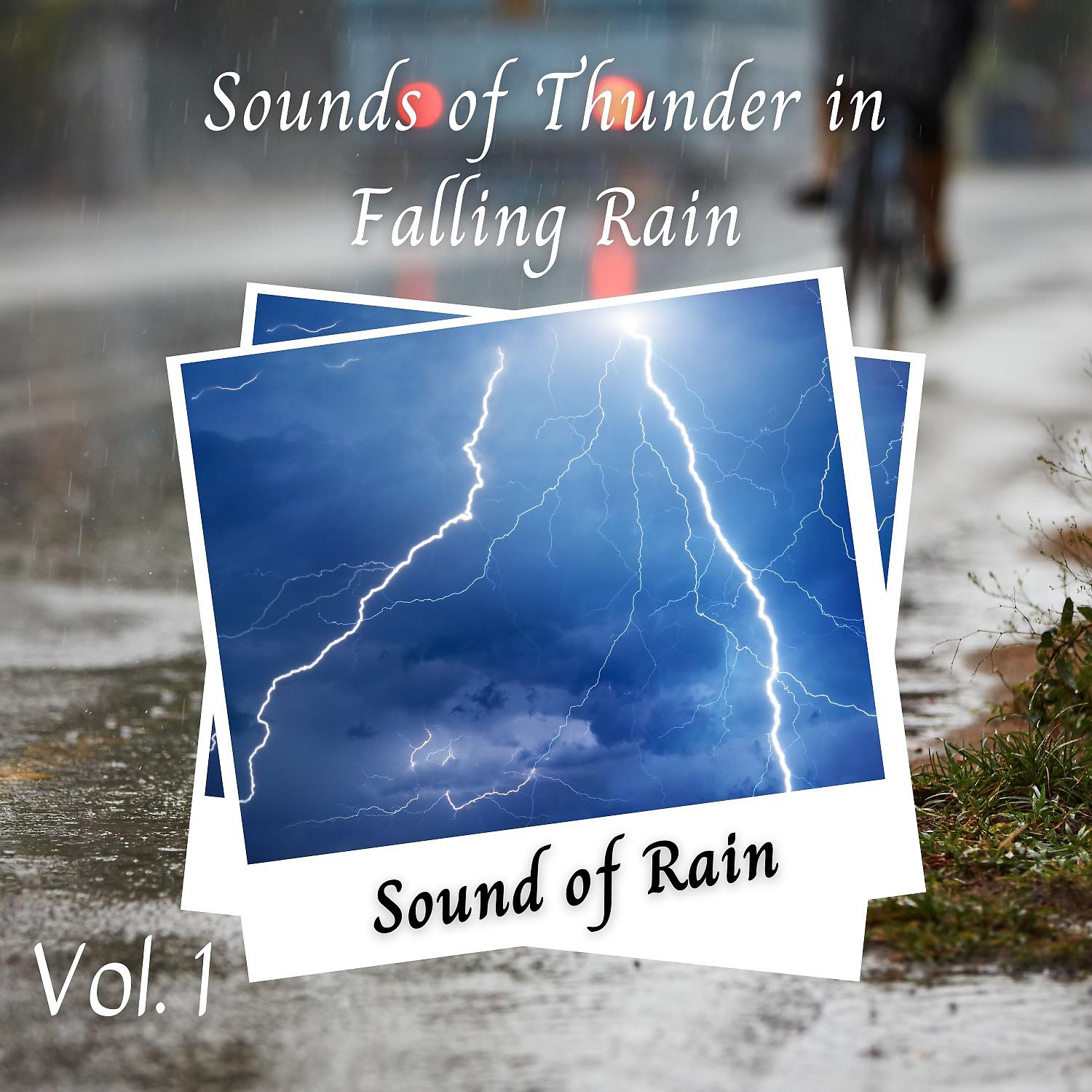 Постер альбома Sound of Rain: Sounds of Thunder in Falling Rain Vol. 1