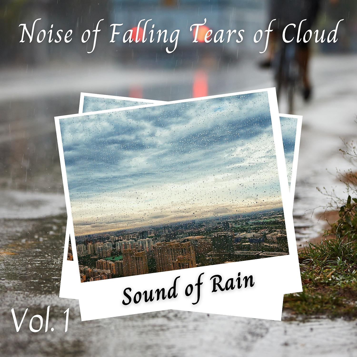 Постер альбома Sound of Rain: Noise of Falling Tears of Cloud Vol. 1