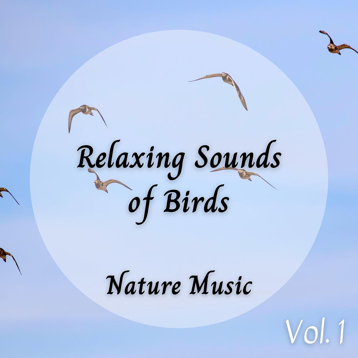 Постер альбома Nature Music: Relaxing Sounds of Birds Vol. 1