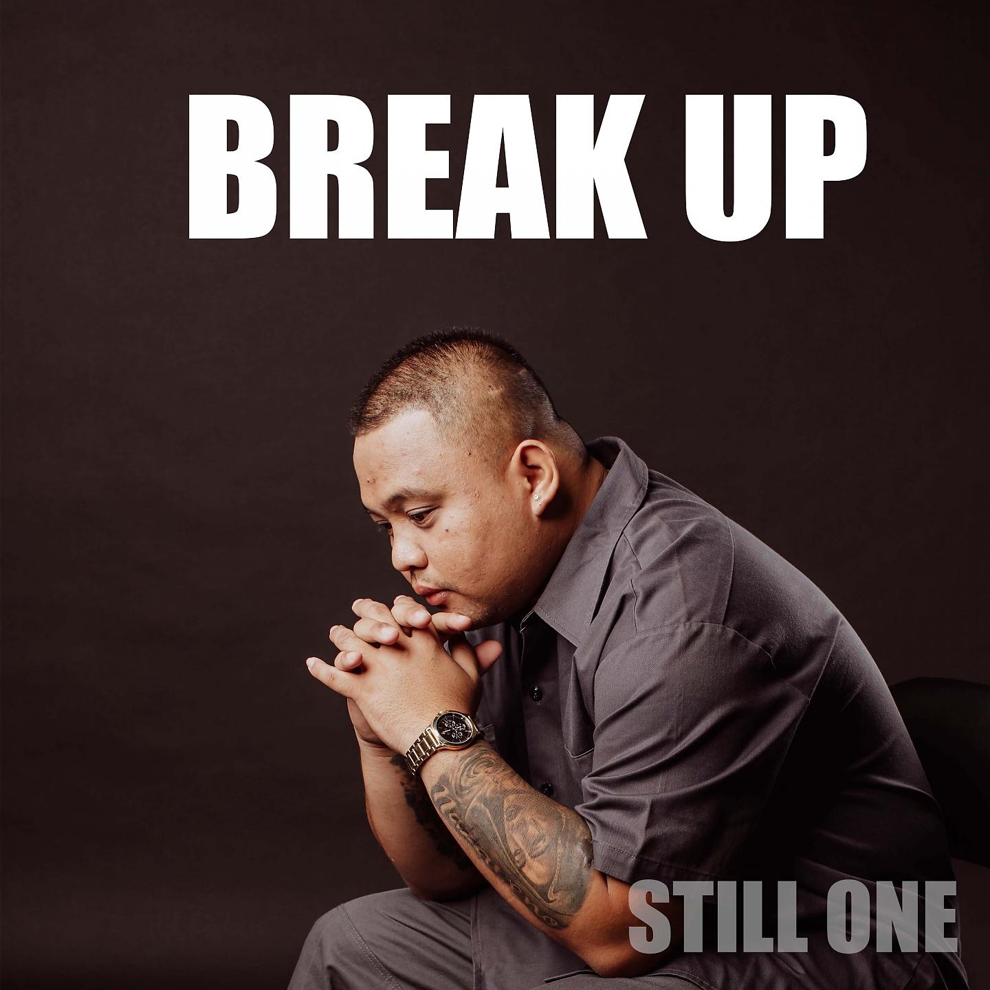 Постер альбома Break Up Song