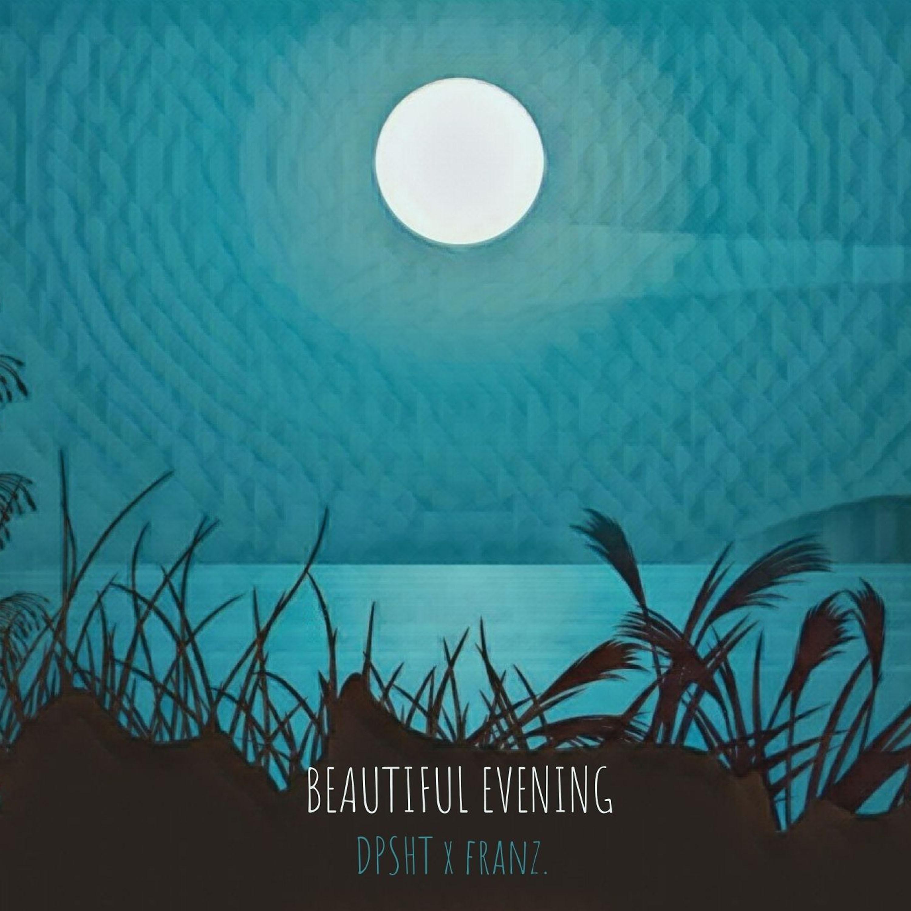 Постер альбома Beautiful Evening