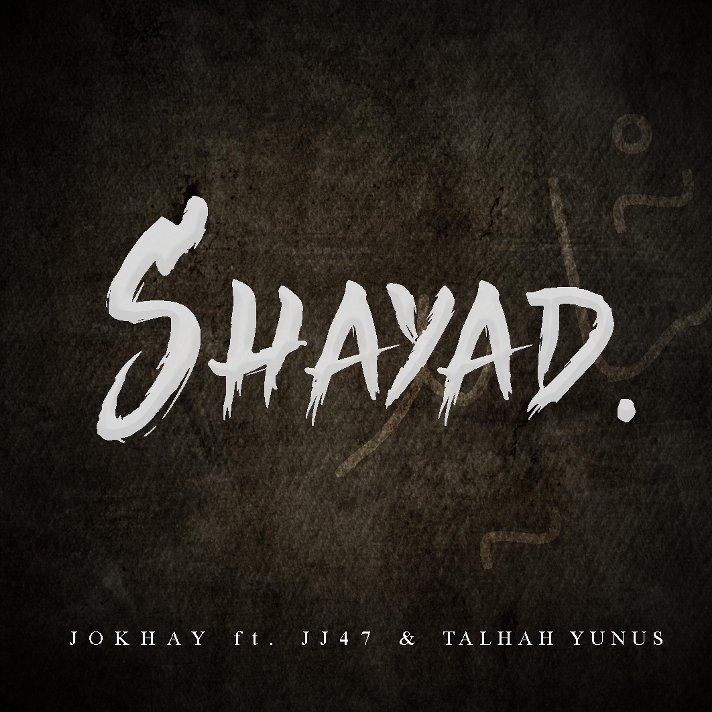 Постер альбома Shayad