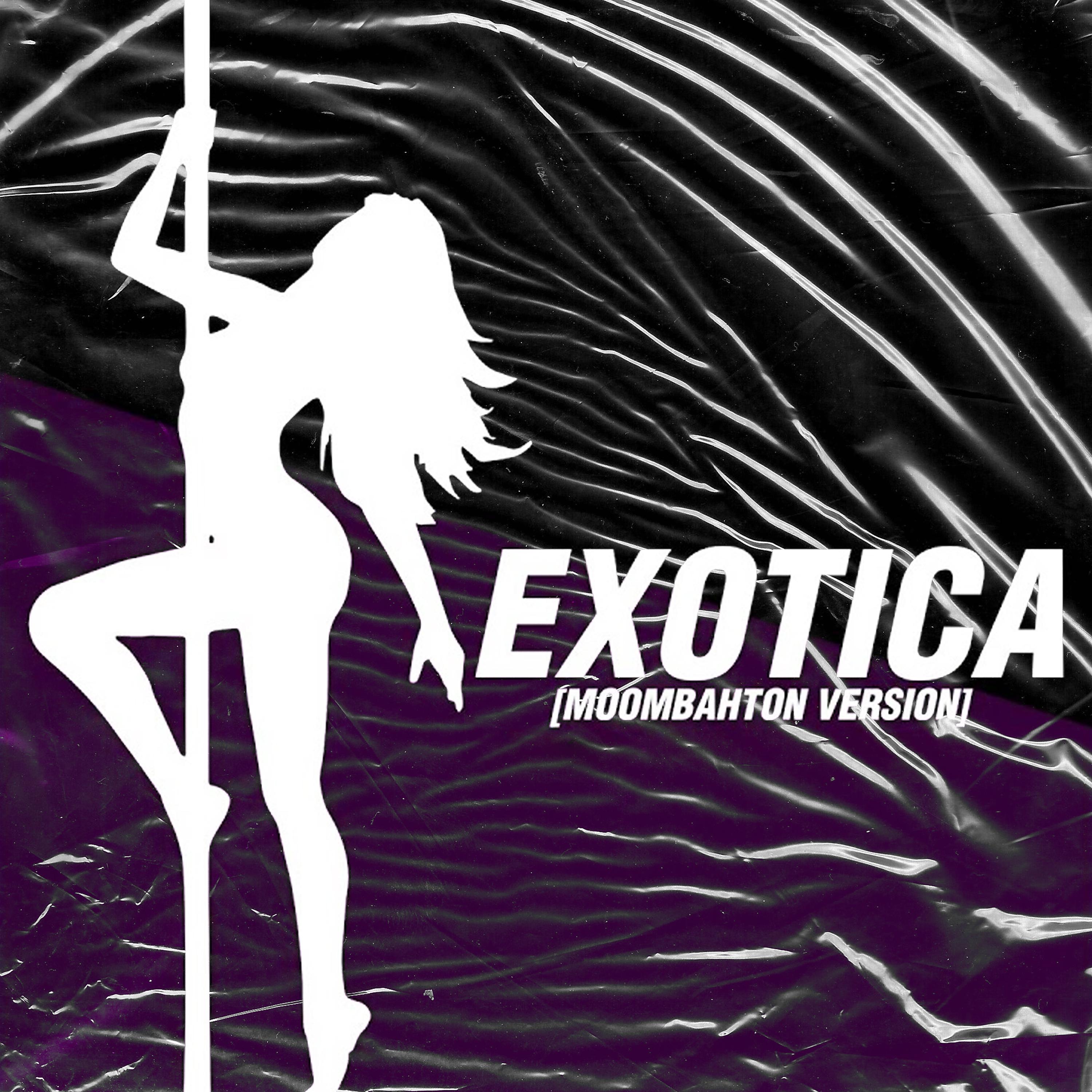 Постер альбома Exotica (Moombahton Version)