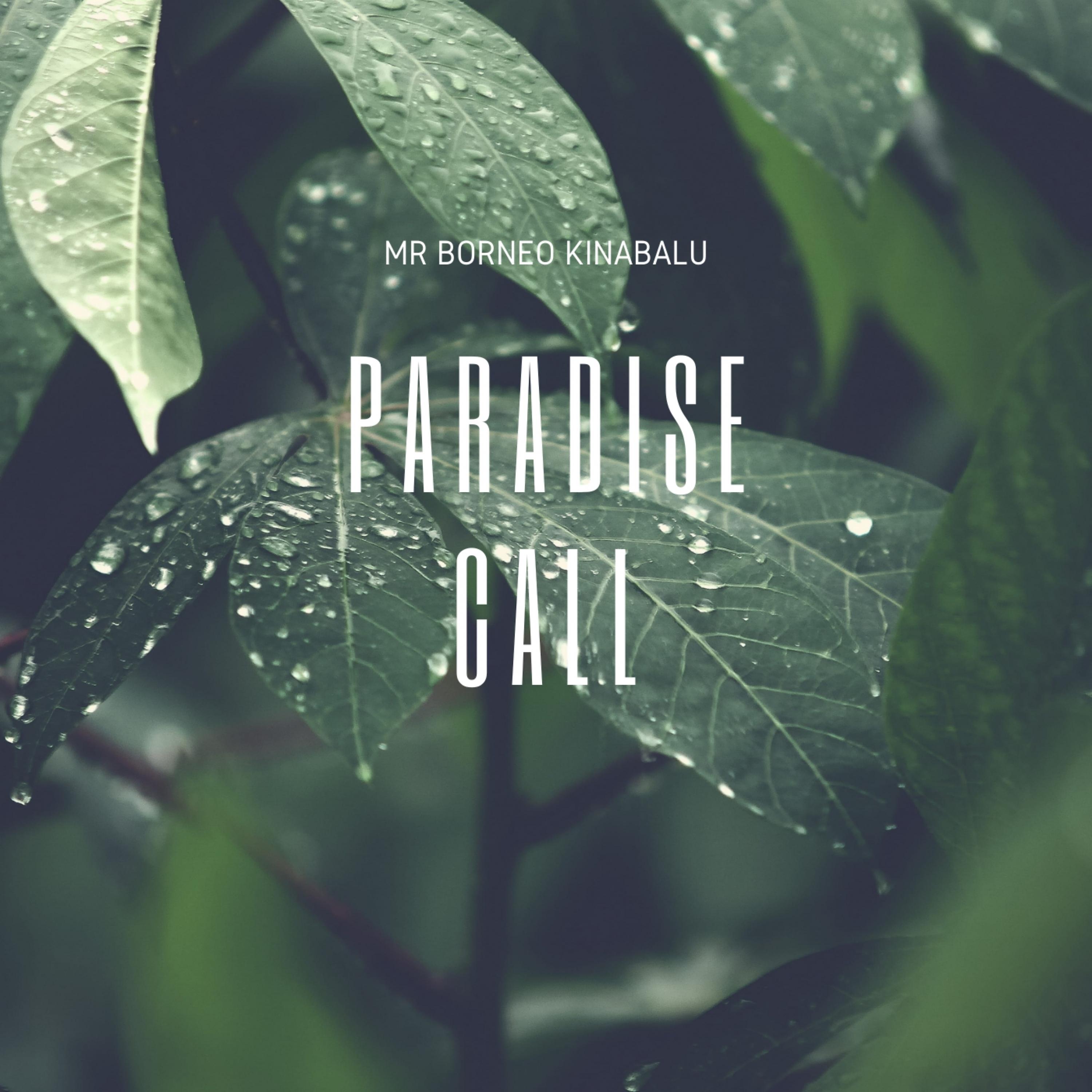 Постер альбома Paradise Call