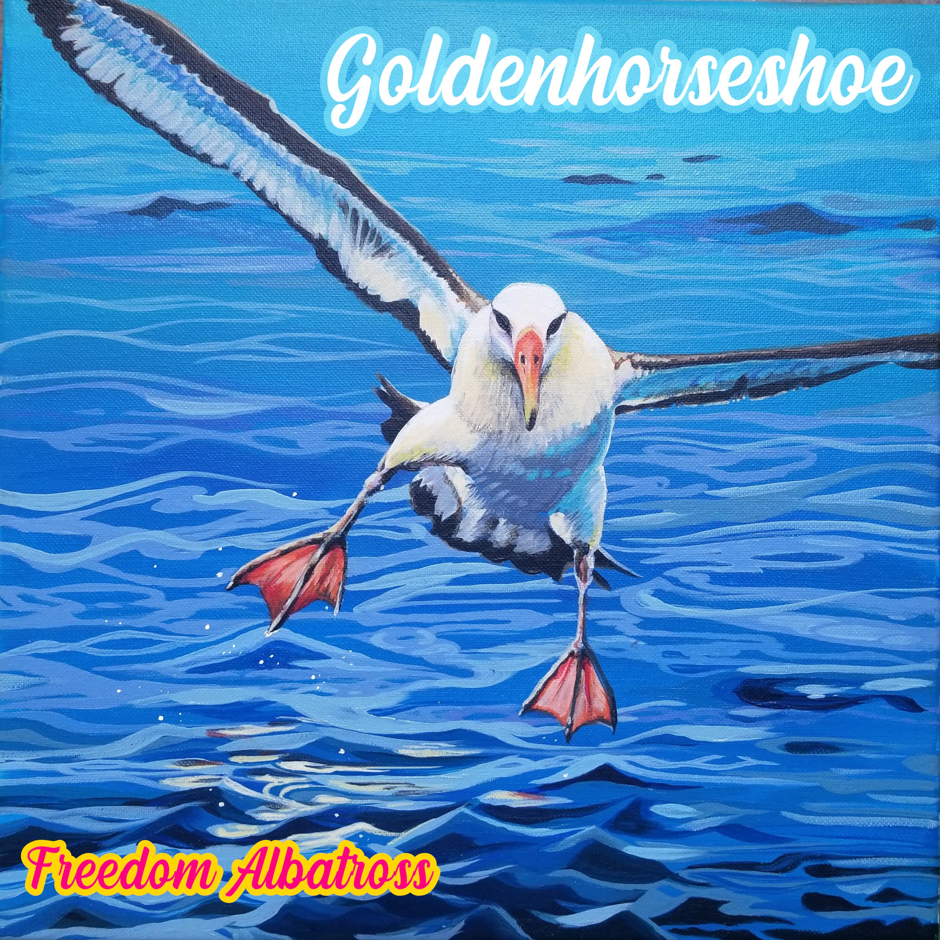 Постер альбома Freedom Albatross
