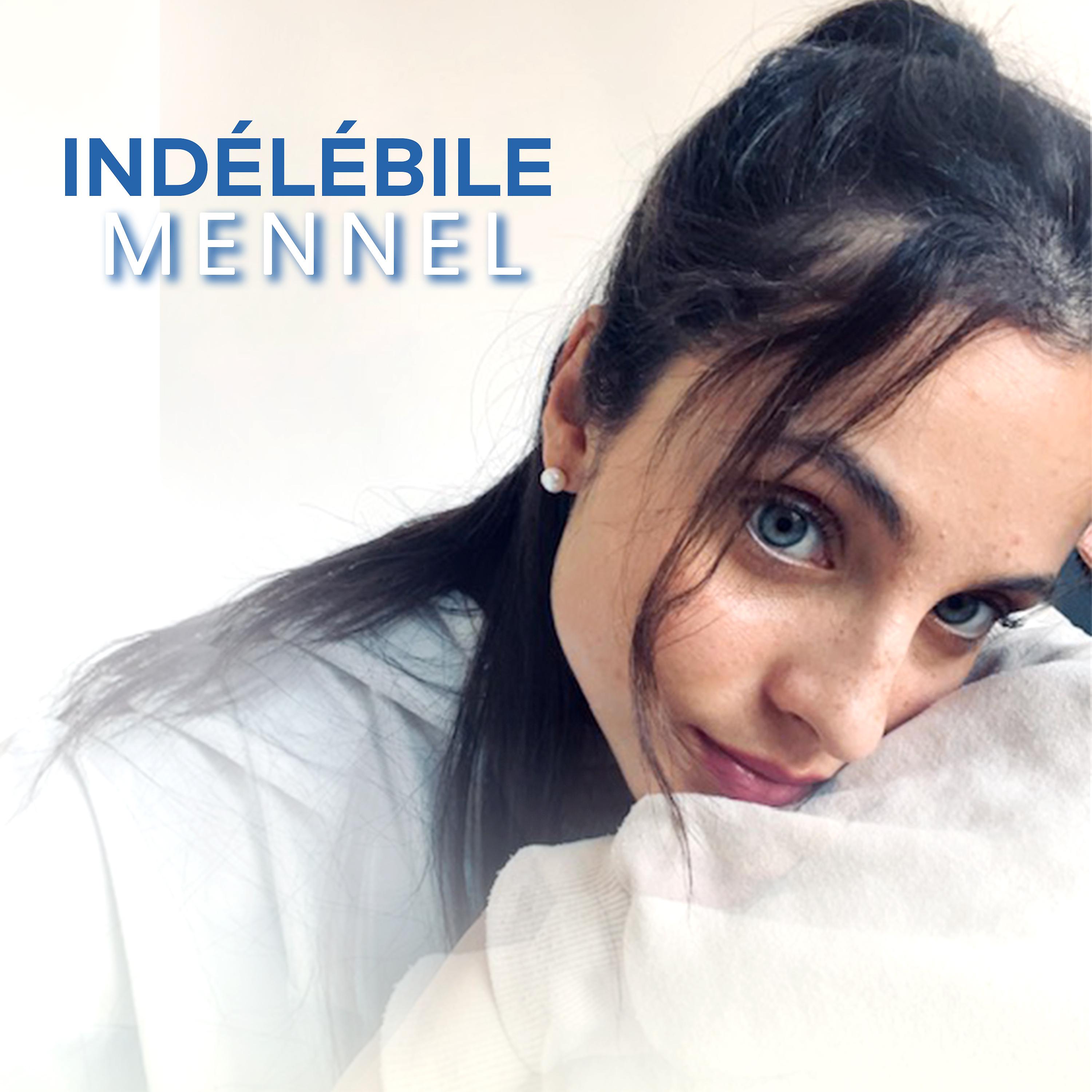 Постер альбома Indélébile
