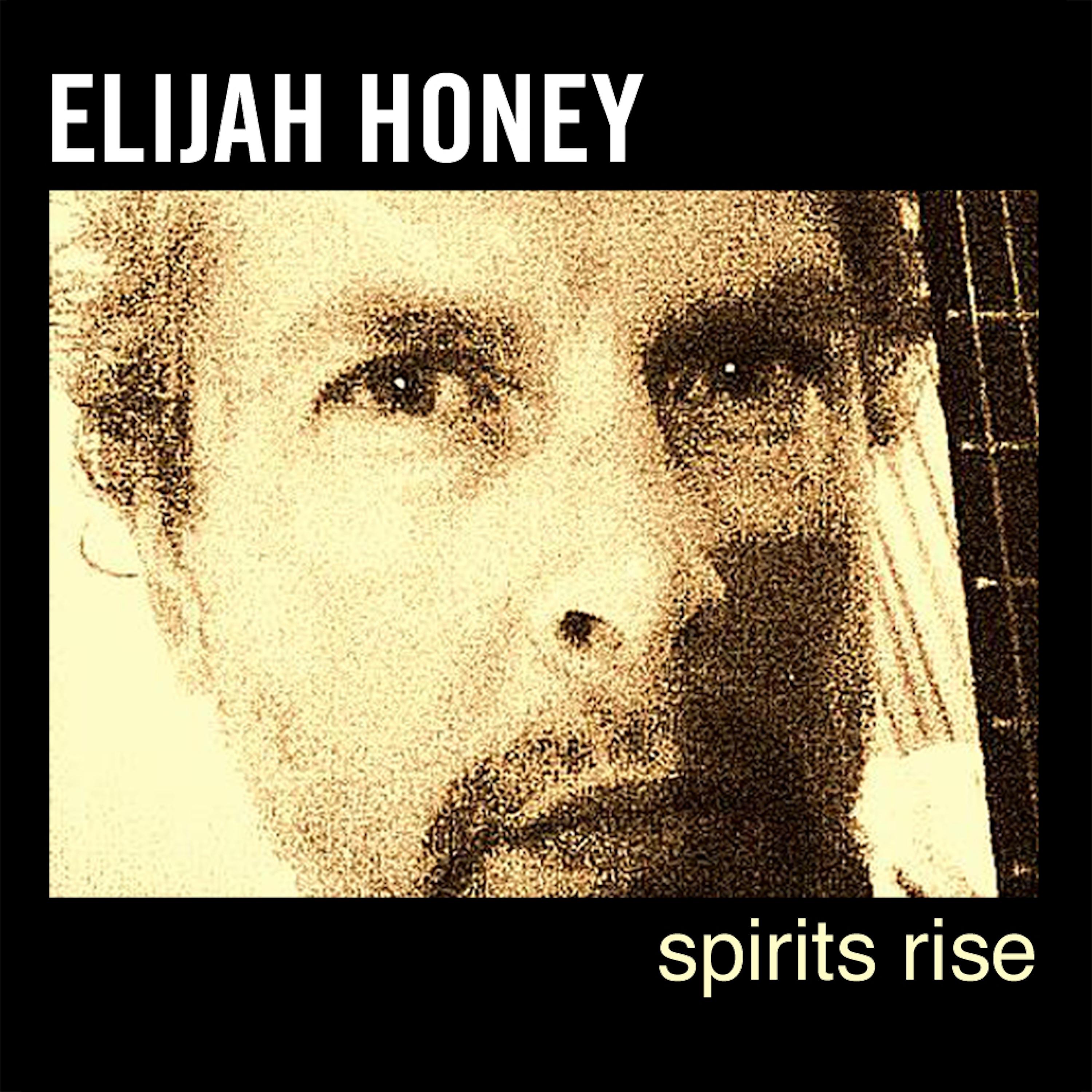 Постер альбома Spirits Rise