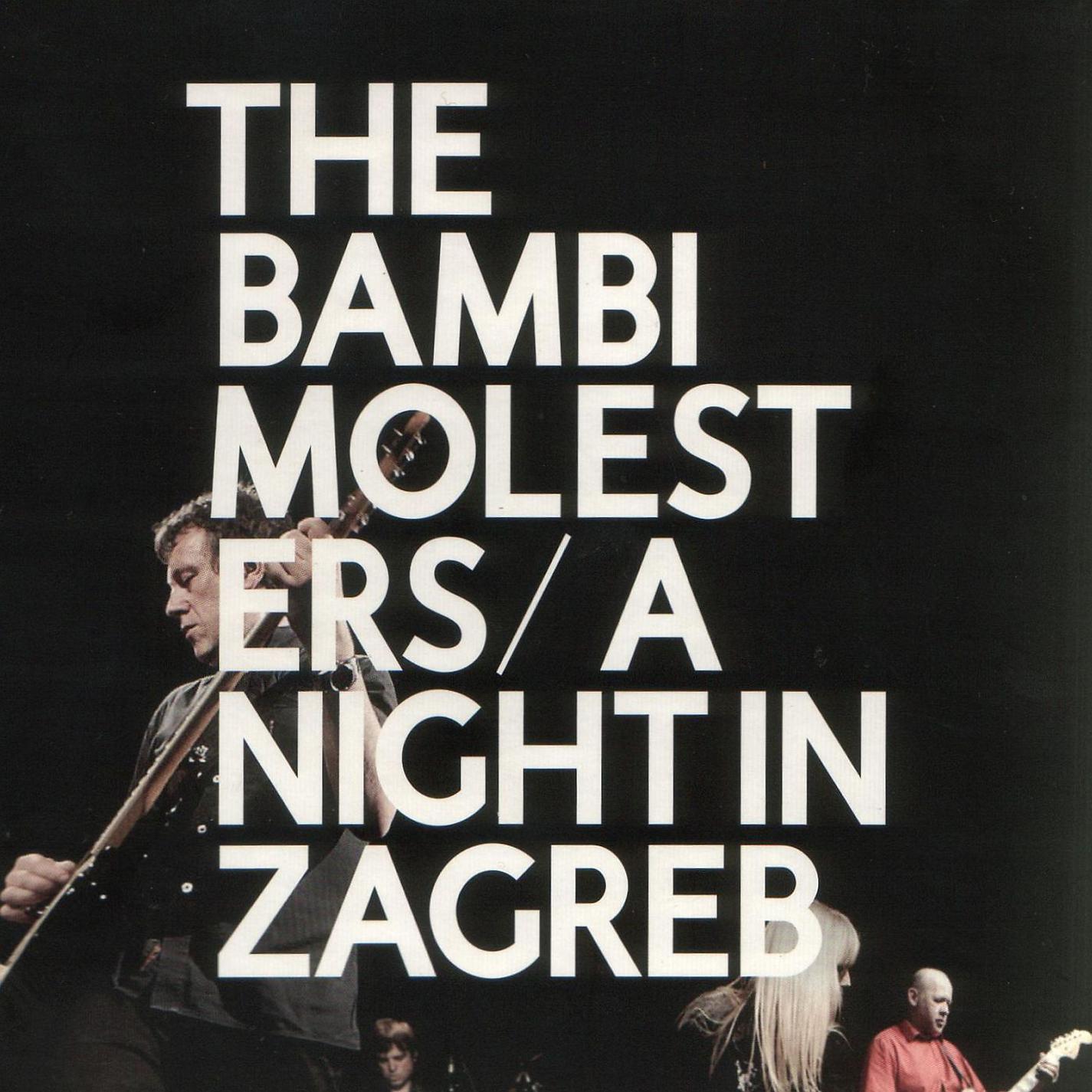 Постер альбома A Night in Zagreb (Live)