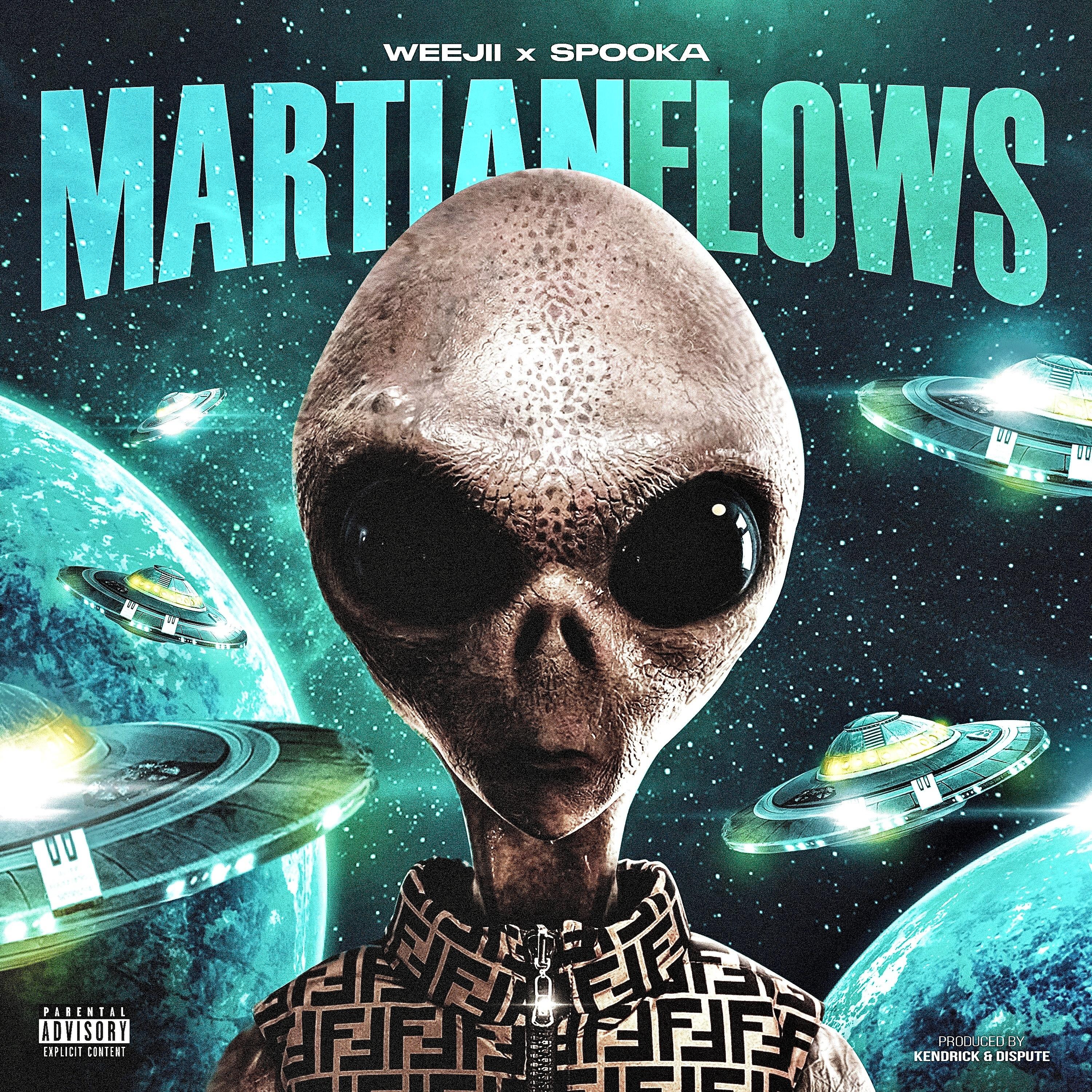Постер альбома Martian Flows