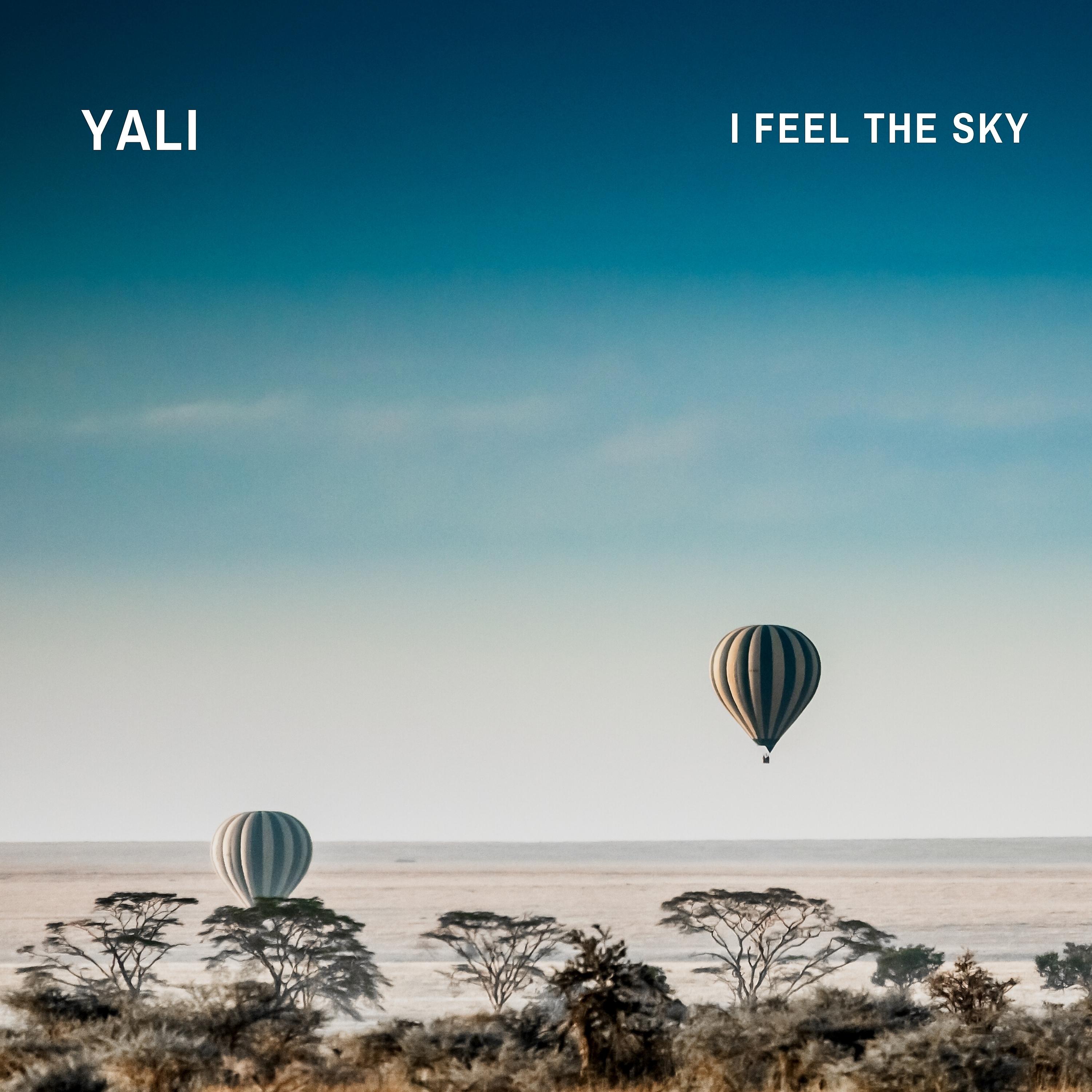 Постер альбома I Feel the Sky