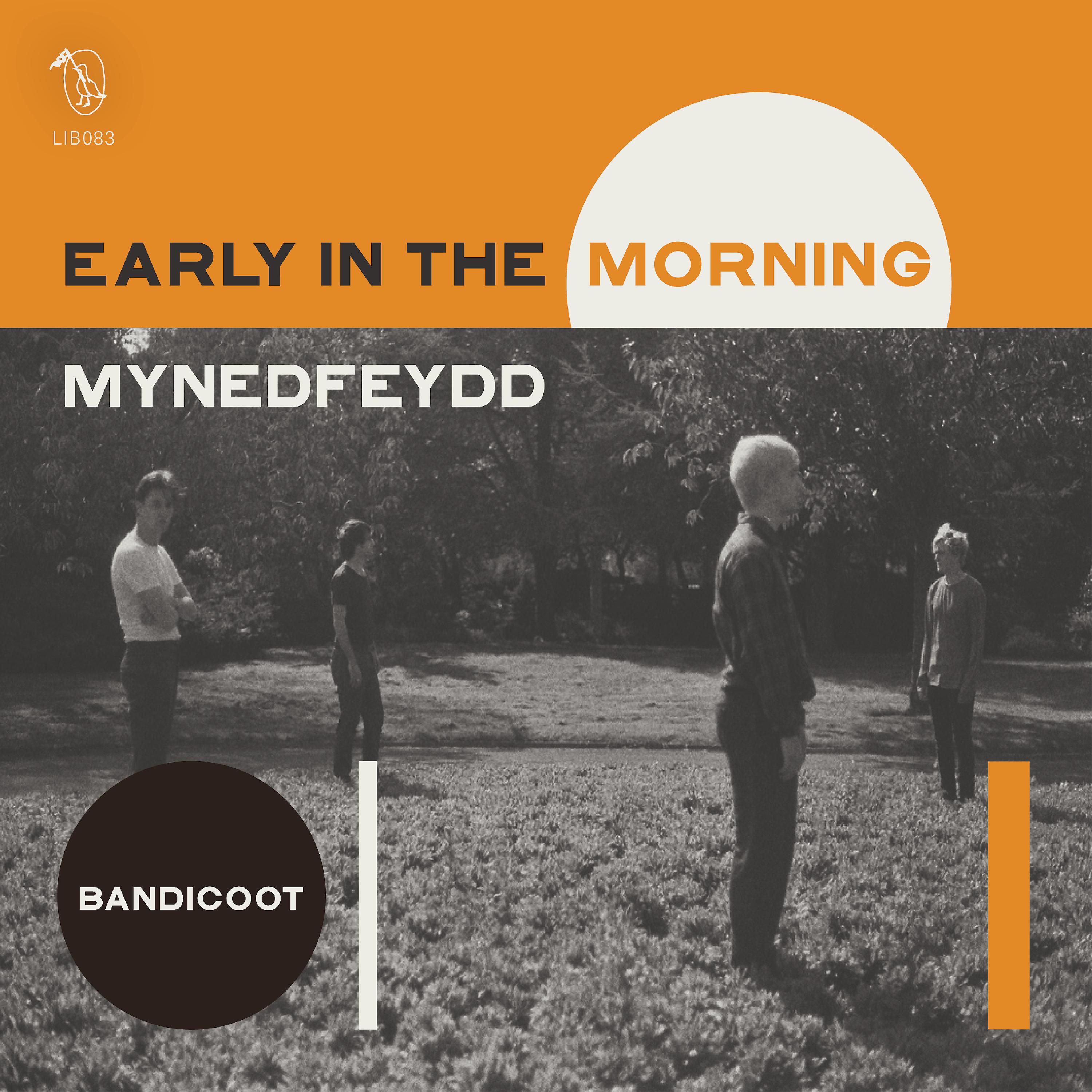 Постер альбома Early in the Morning / Mynedfeydd