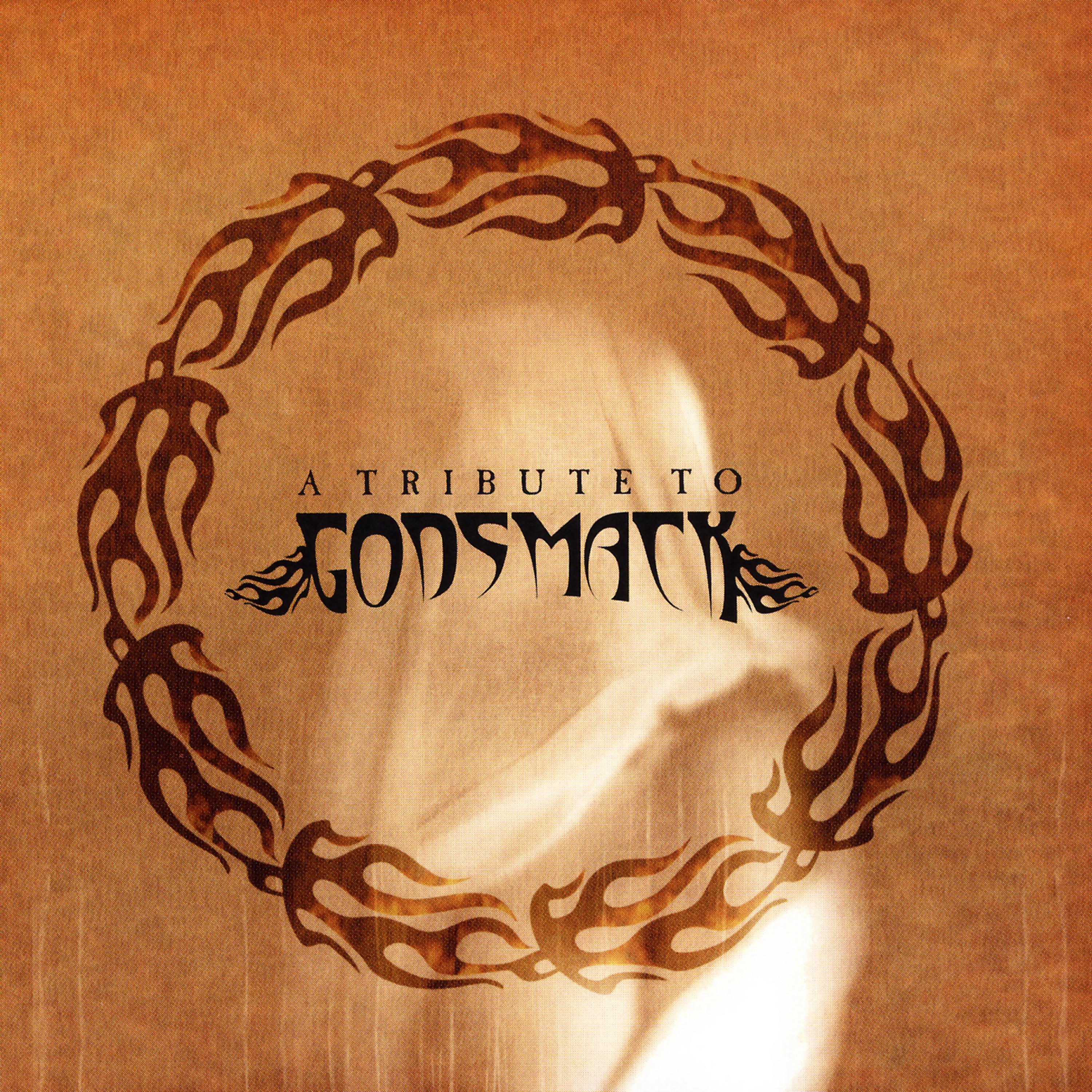 Постер альбома A Tribute To Godsmack