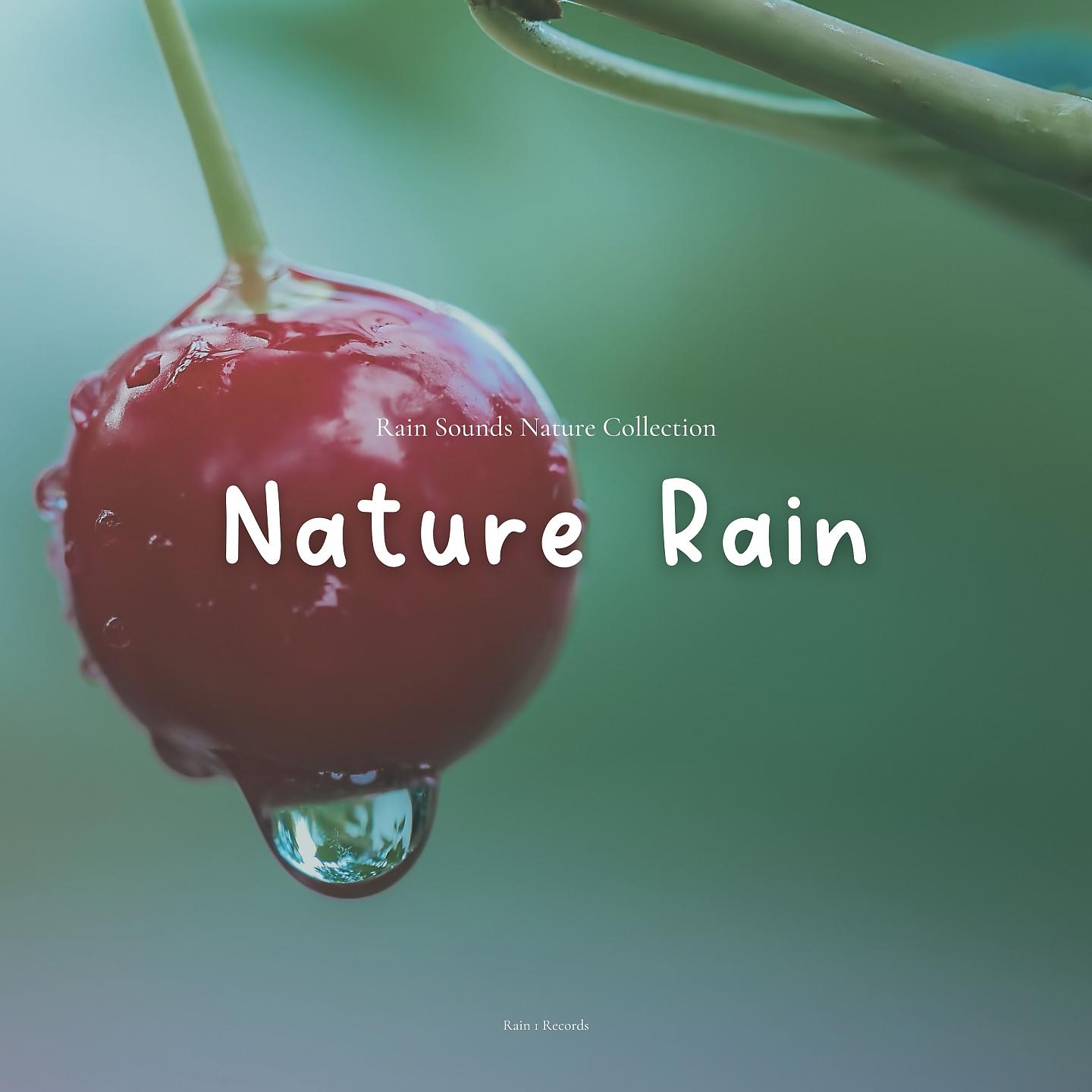 Постер альбома Nature Rain