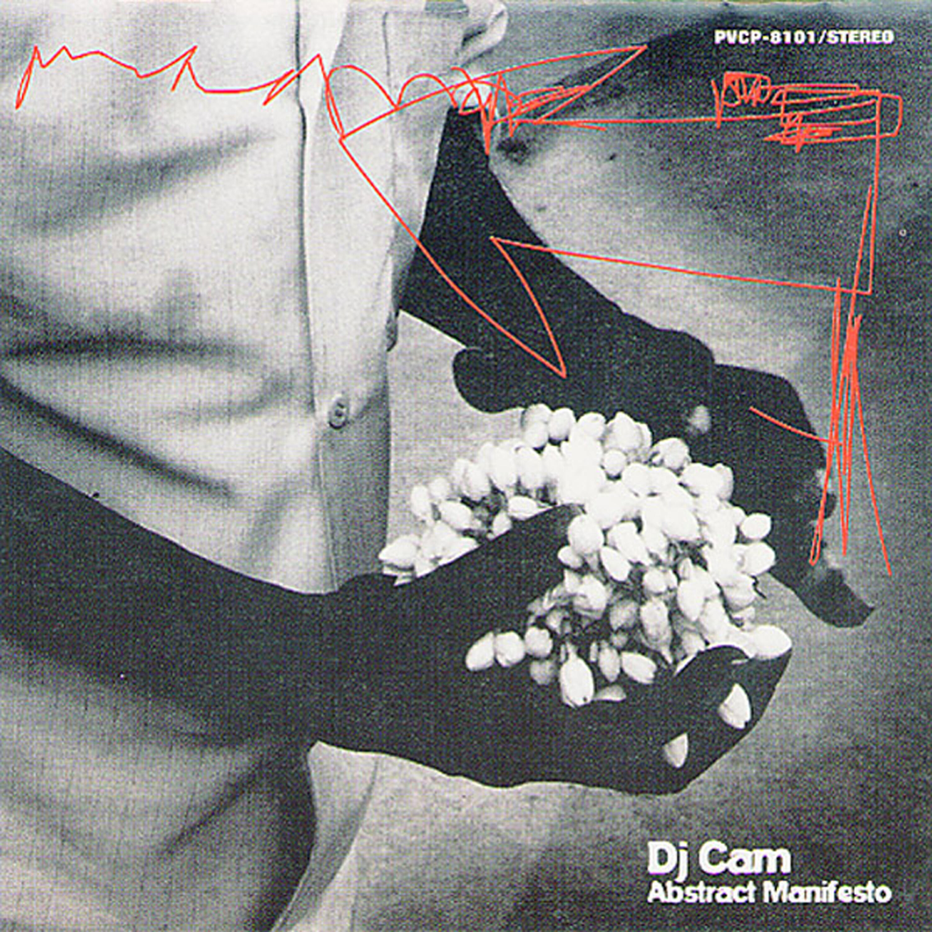 DJ Cam - Turntable Shit (Special Bonus Track For Japanese Hip Hop Tribe)