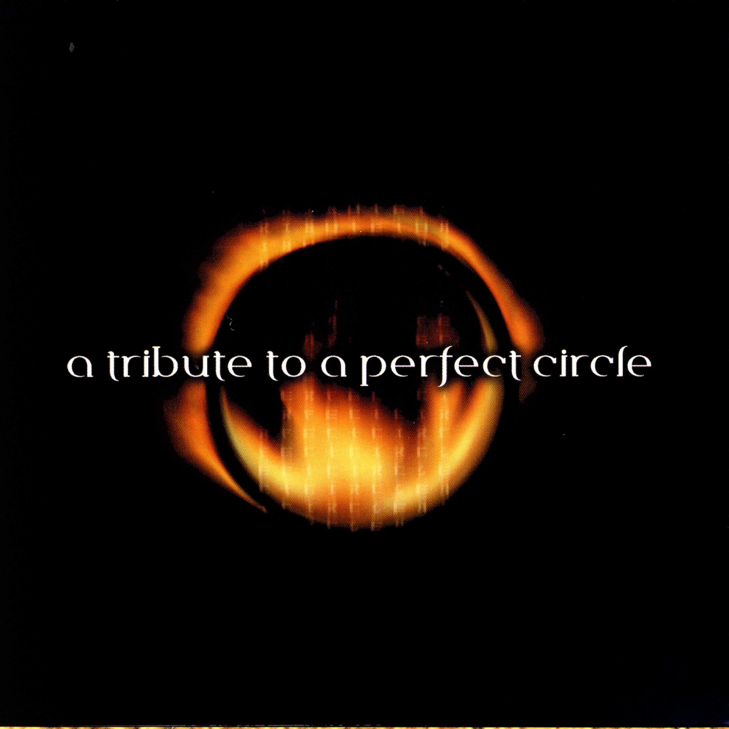 Постер альбома A Tribute To A Perfect Circle
