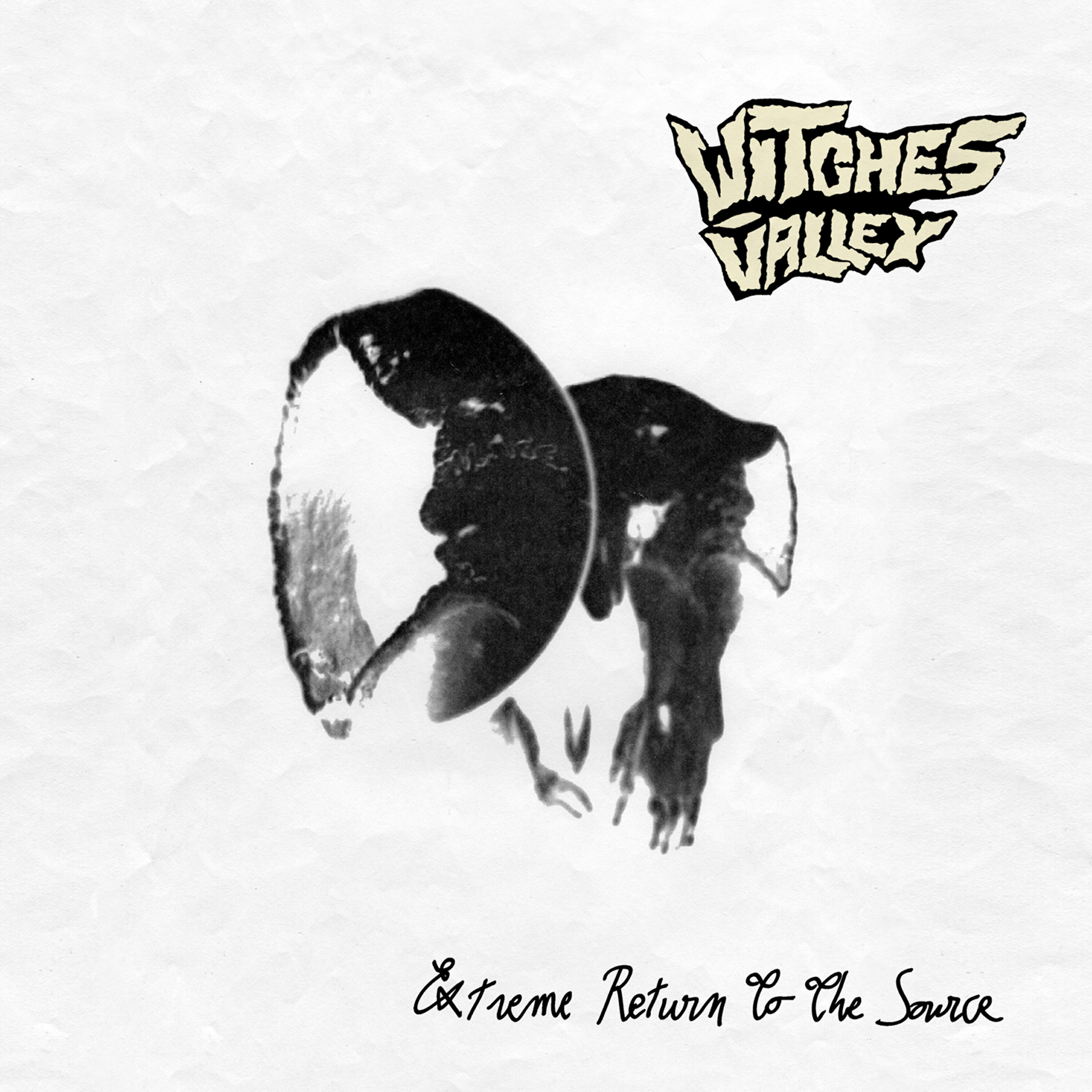 Witches Valley - Sex Free Love Red-Neck Revolution (S.F.L.R.N.R.)