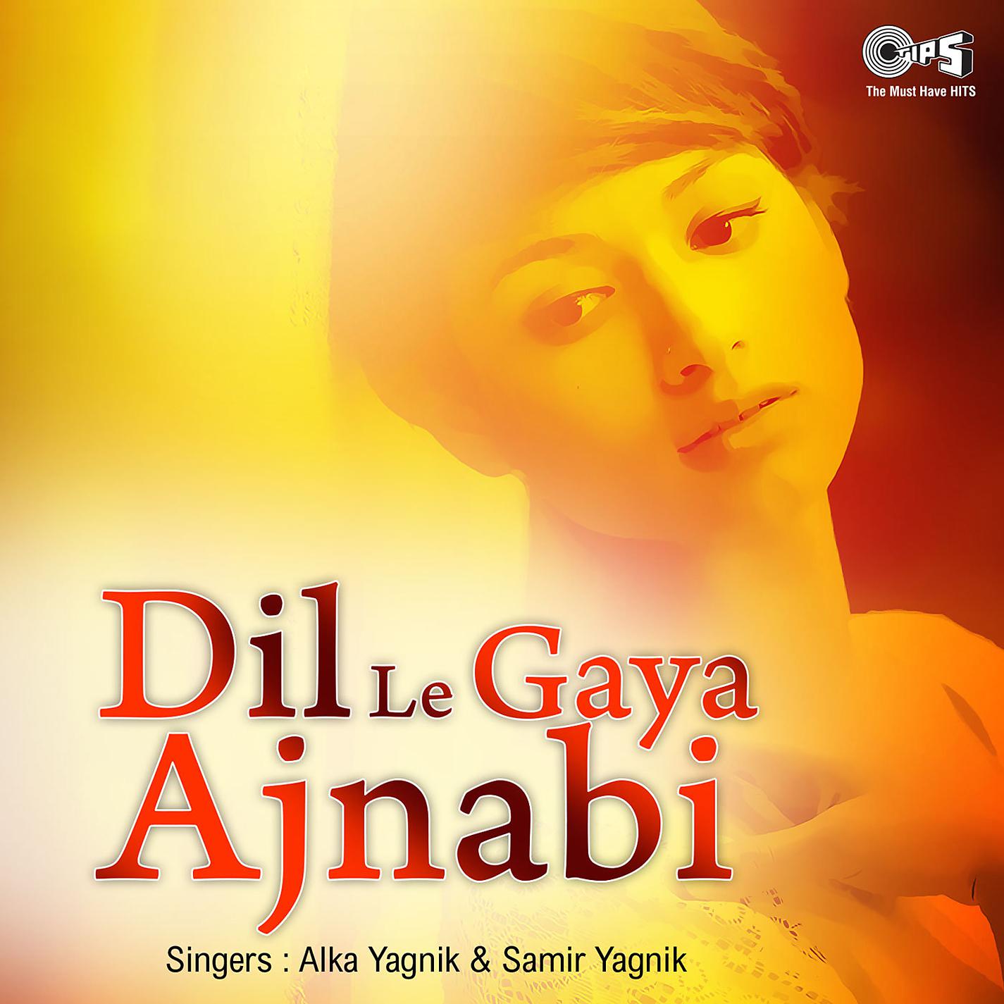 Постер альбома Dil Le Gaya Ajnabi
